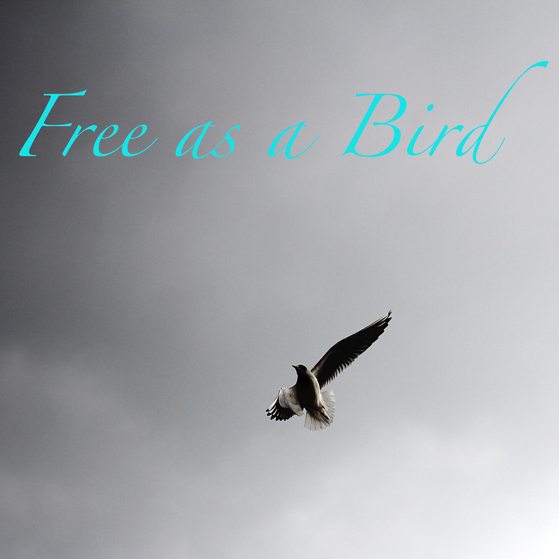 Постер альбома Free as a Bird