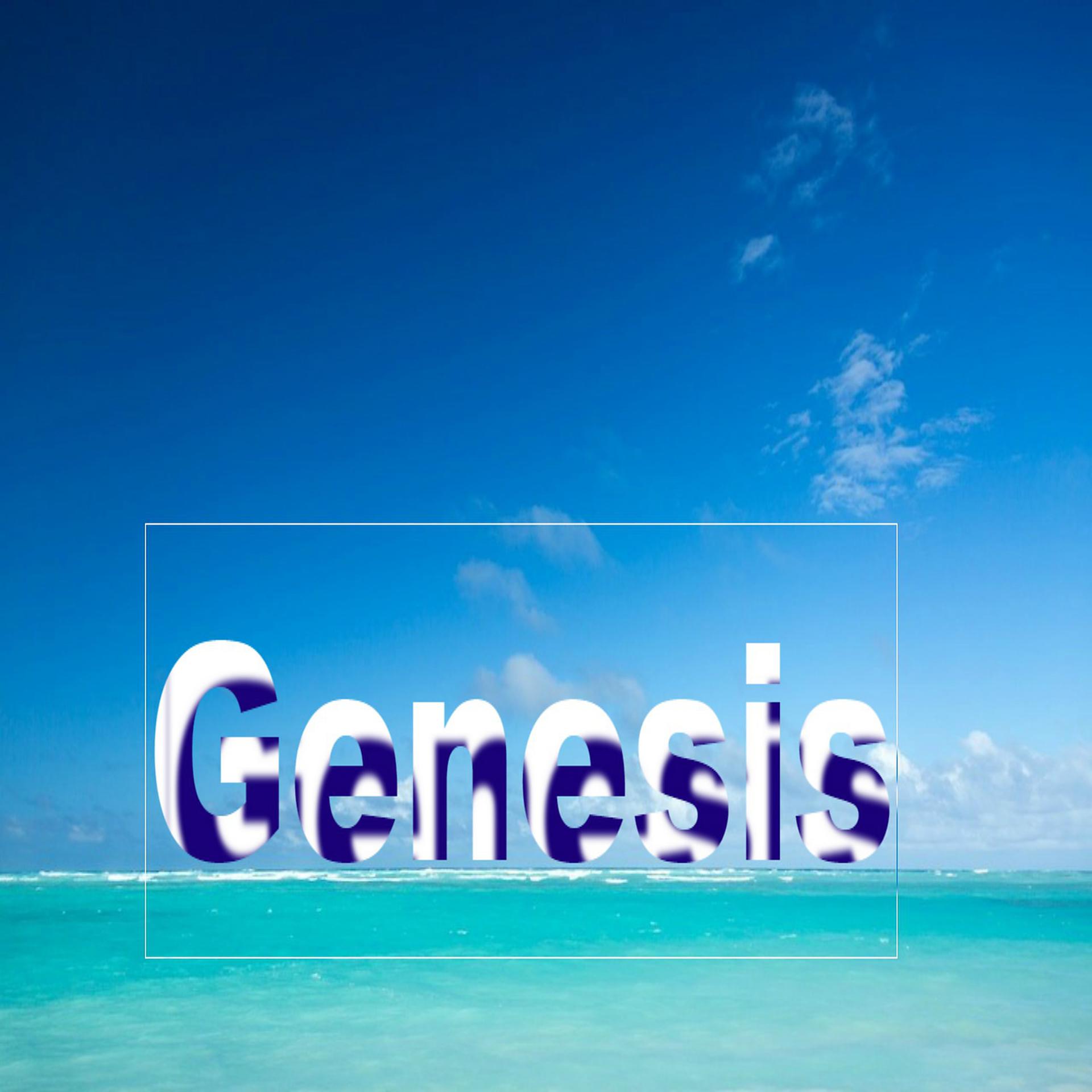 Постер альбома Genesis, Vol. 4