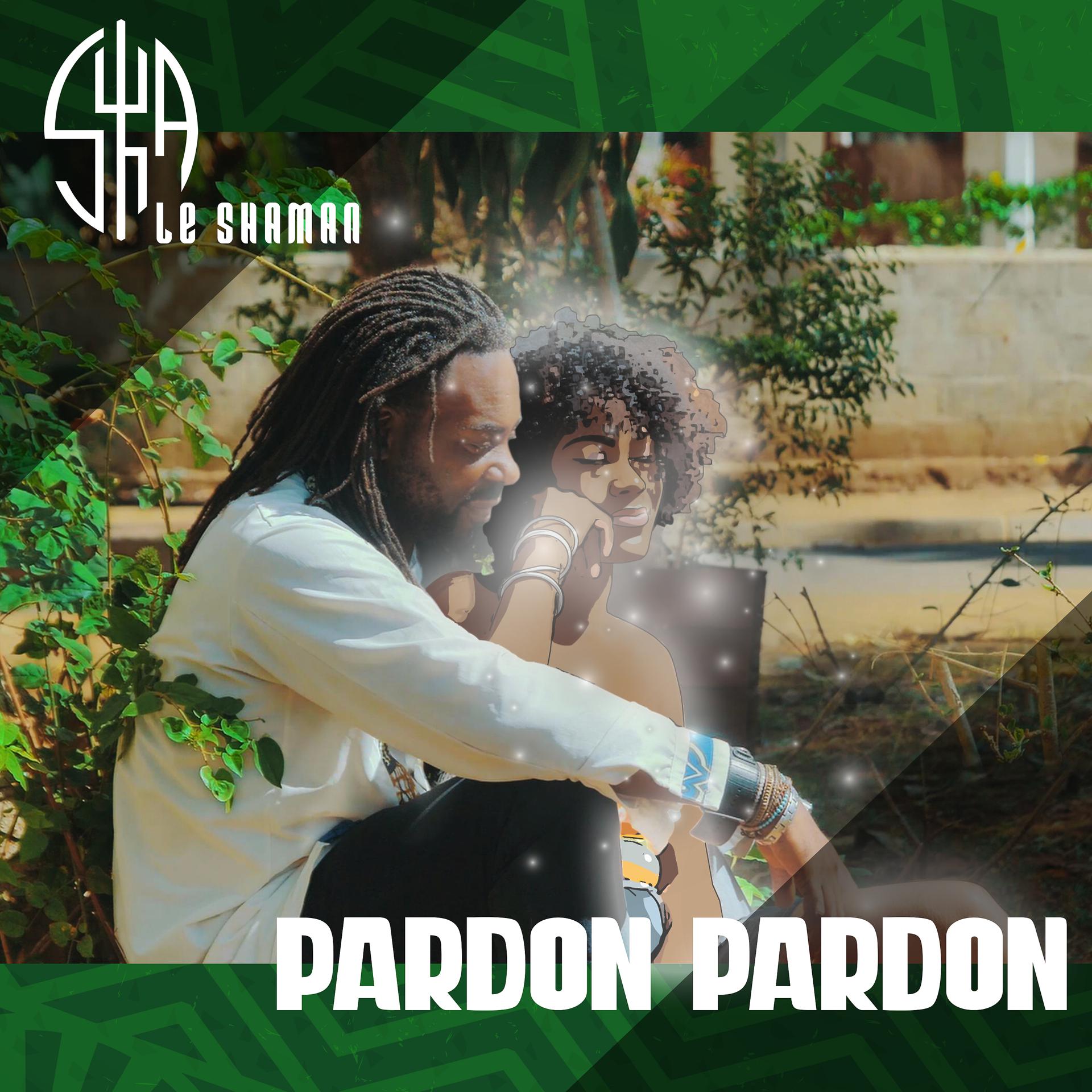 Постер альбома Pardon pardon