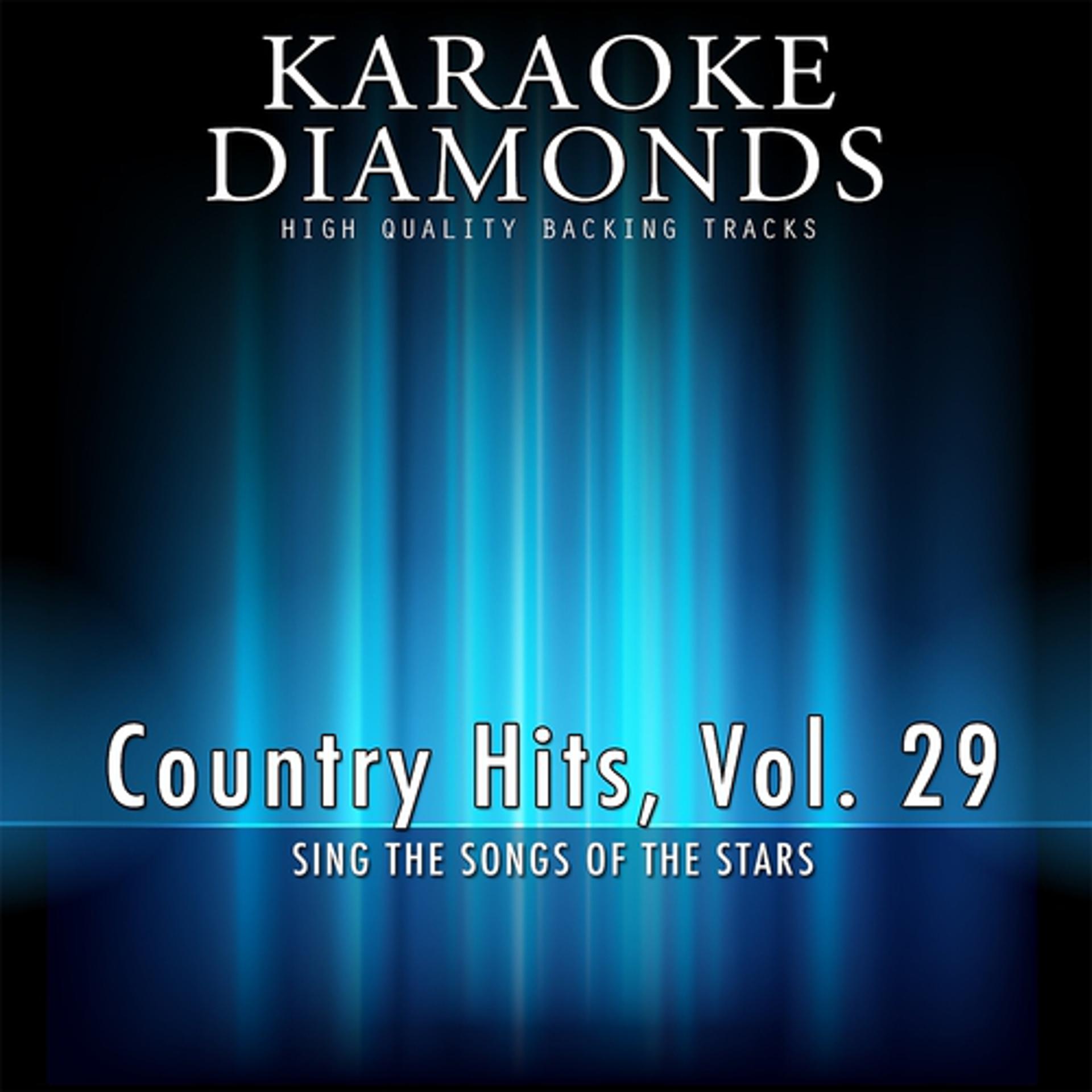 Постер альбома The Best for Country Musicians, Vol. 29 (Karaoke Version)