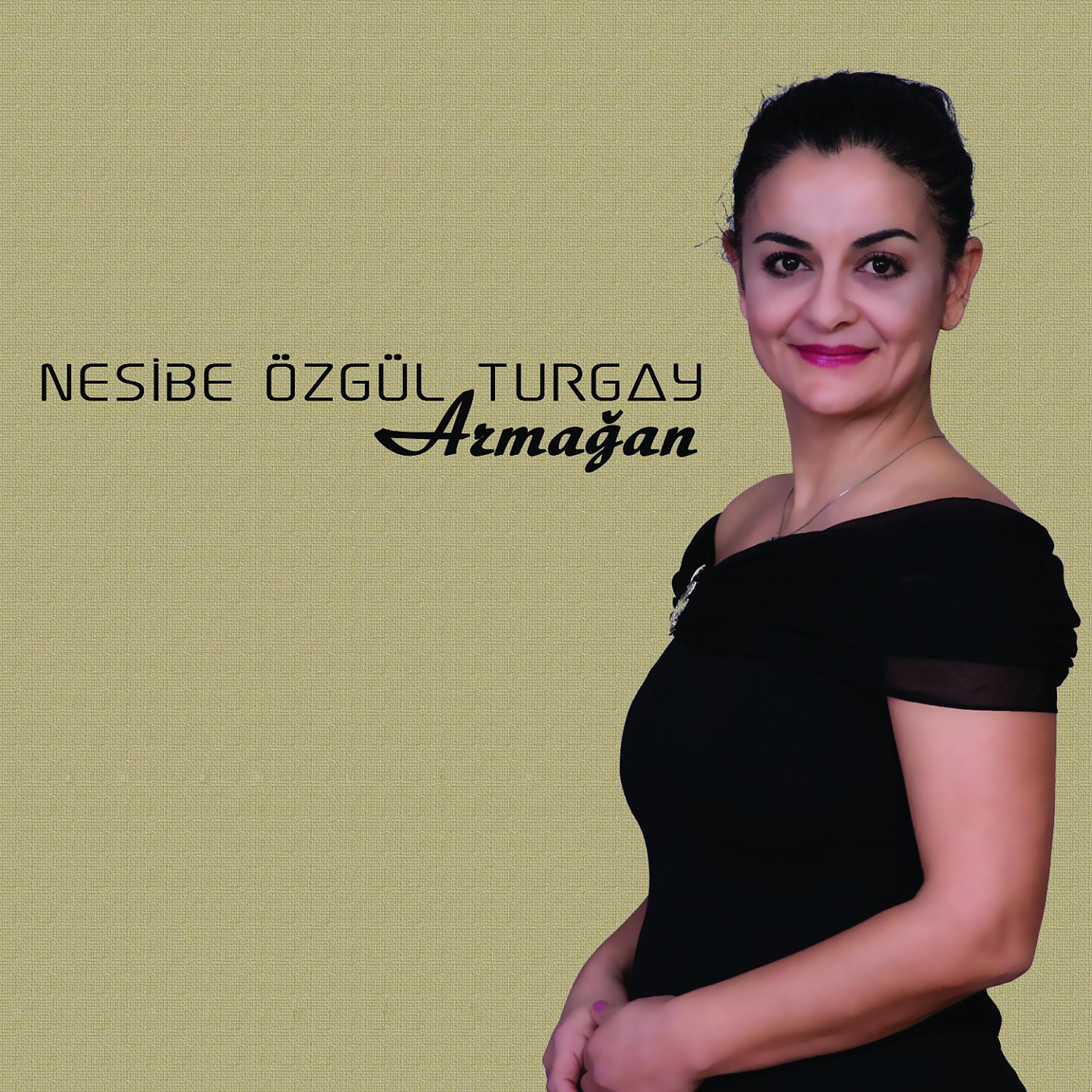 Постер альбома Armağan
