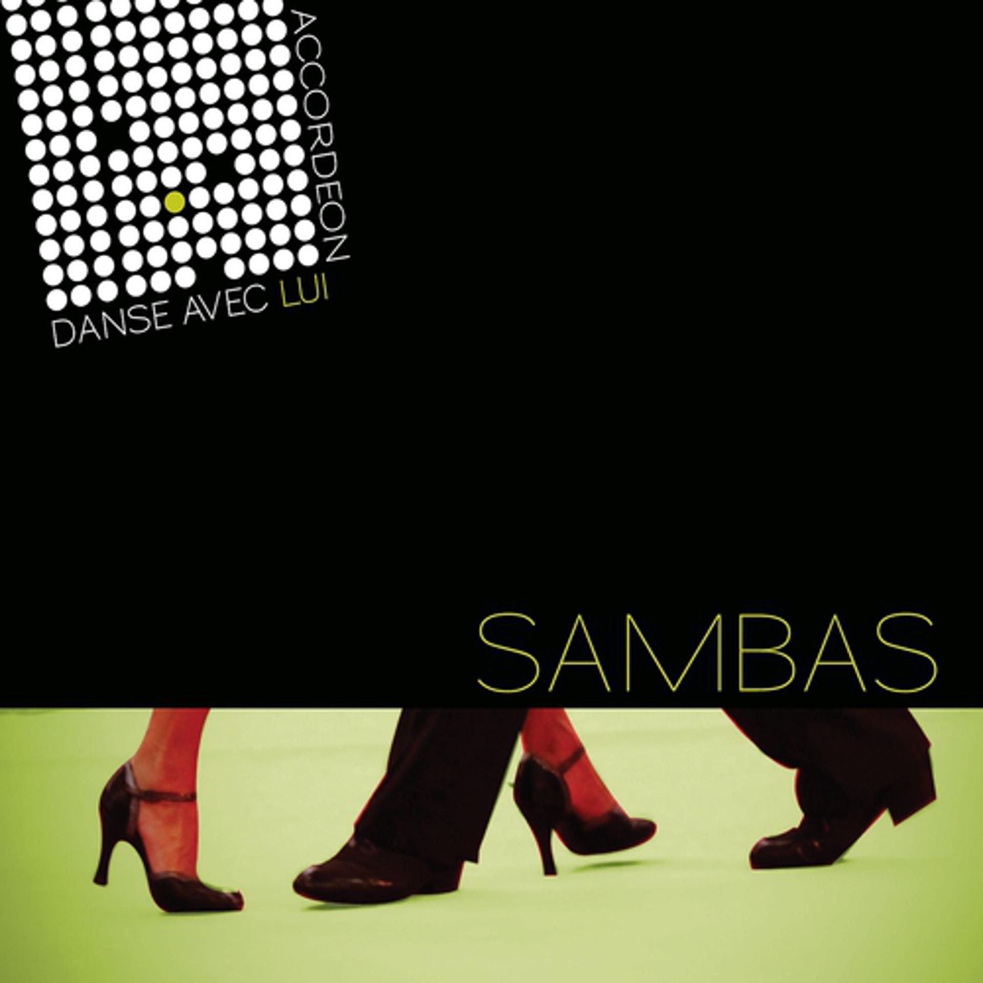 Постер альбома Sambas Accordéon Danse avec lui