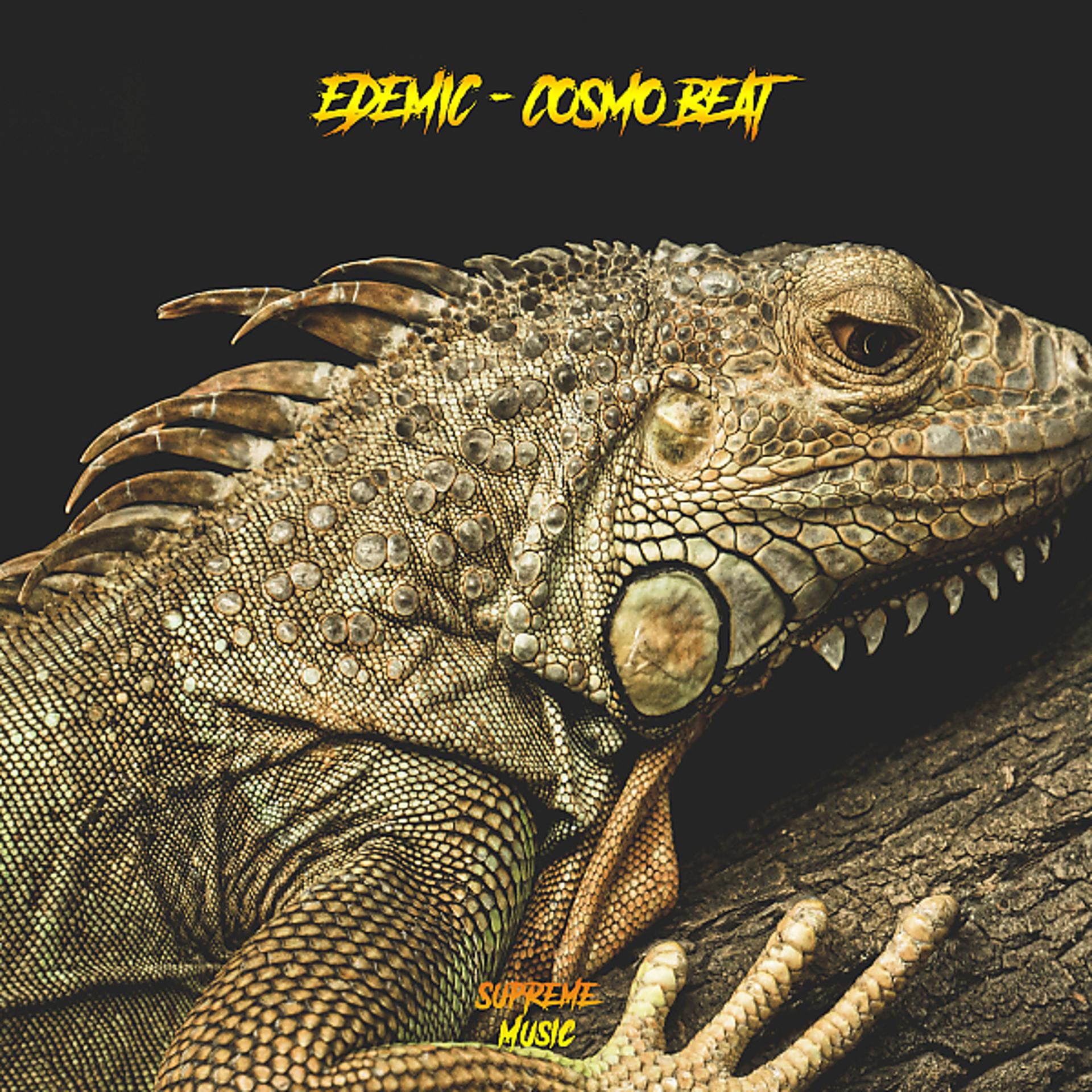 Постер альбома Cosmo Beat