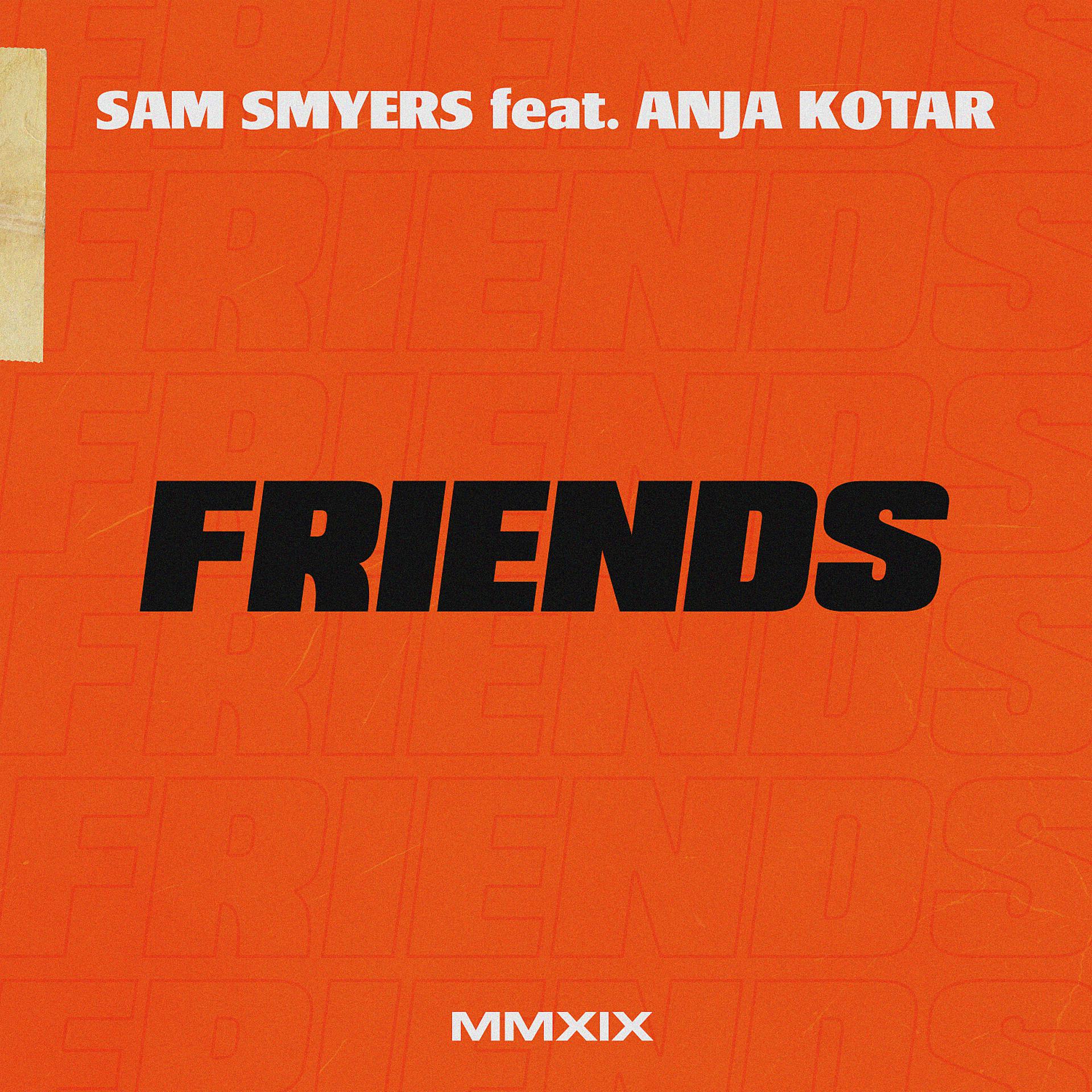 Постер альбома Friends (feat. Anja Kotar)