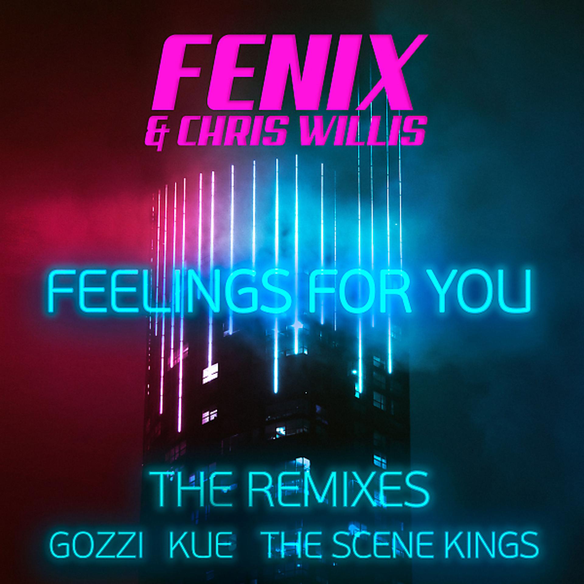 Постер альбома Feelings for you (Remixes)