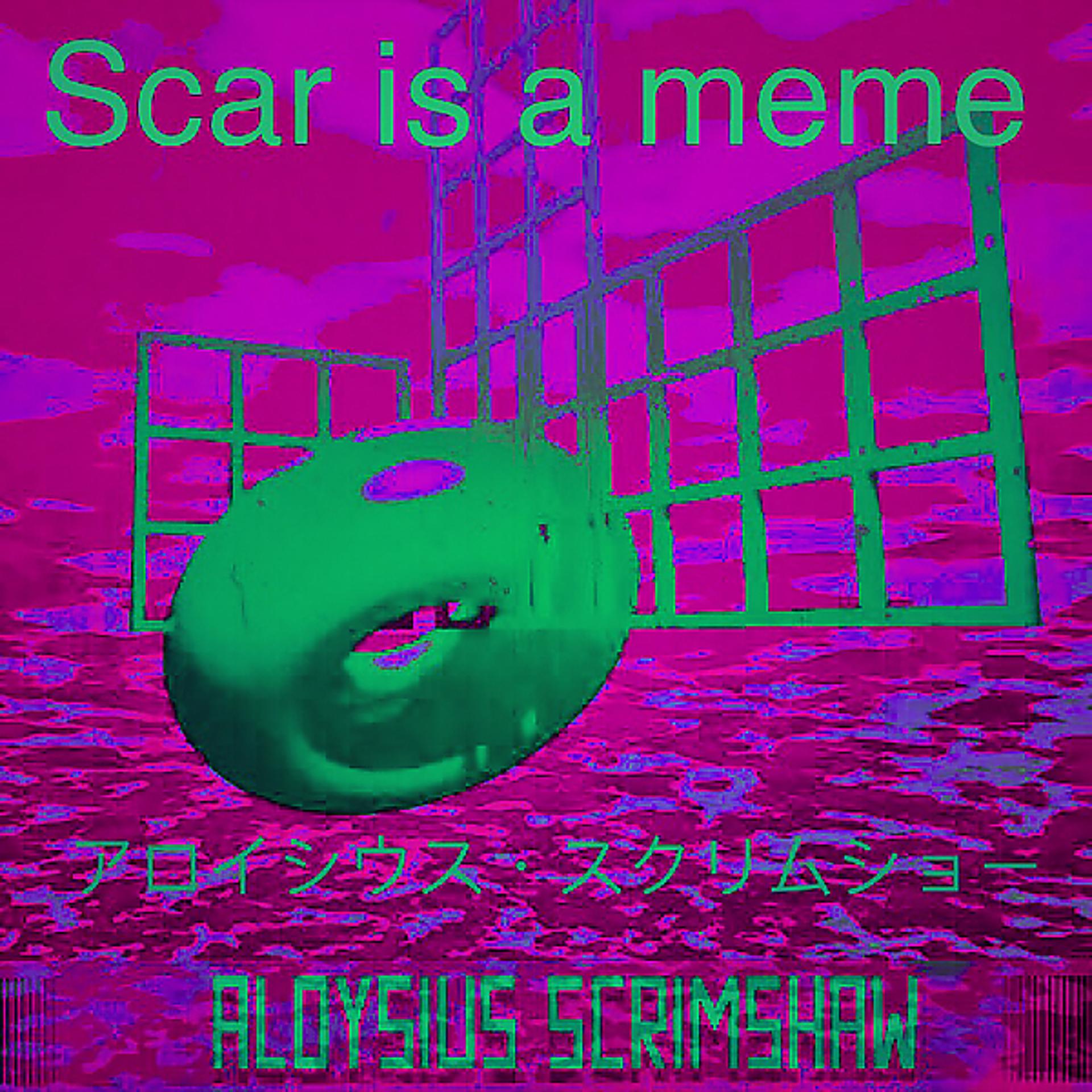 Постер альбома Scar is a meme