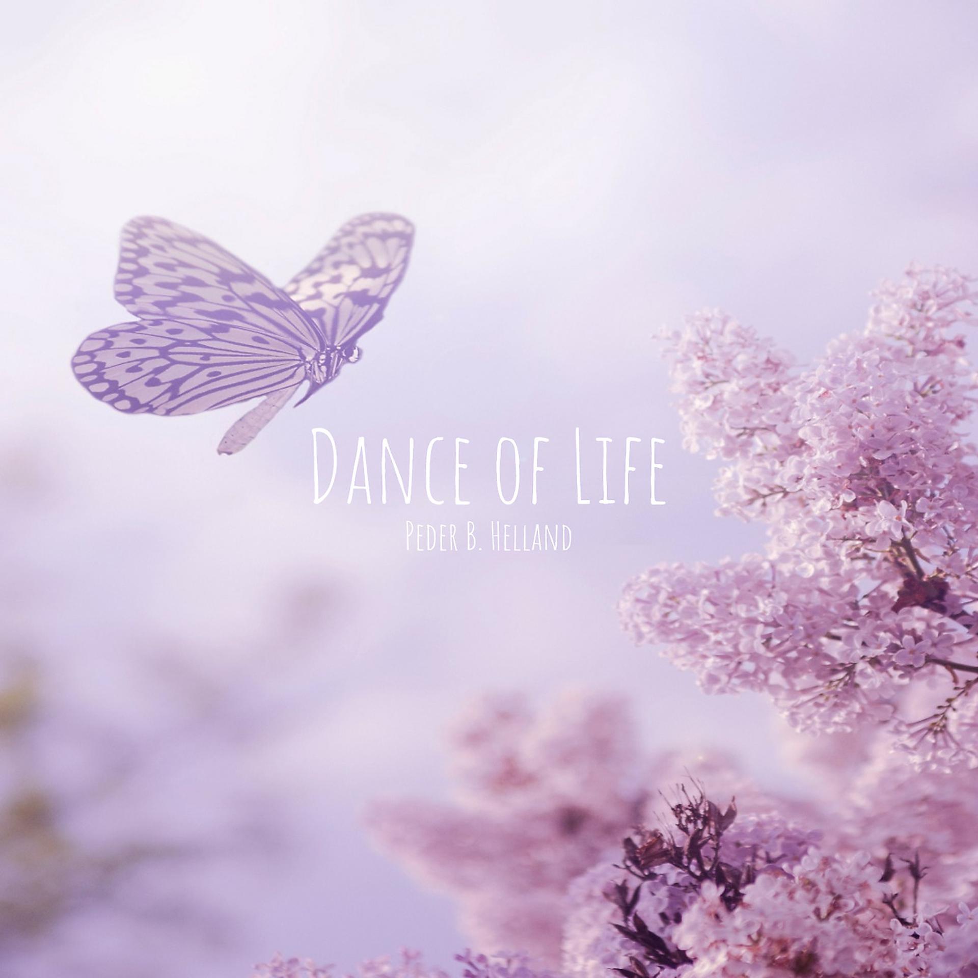 Постер альбома Dance of Life