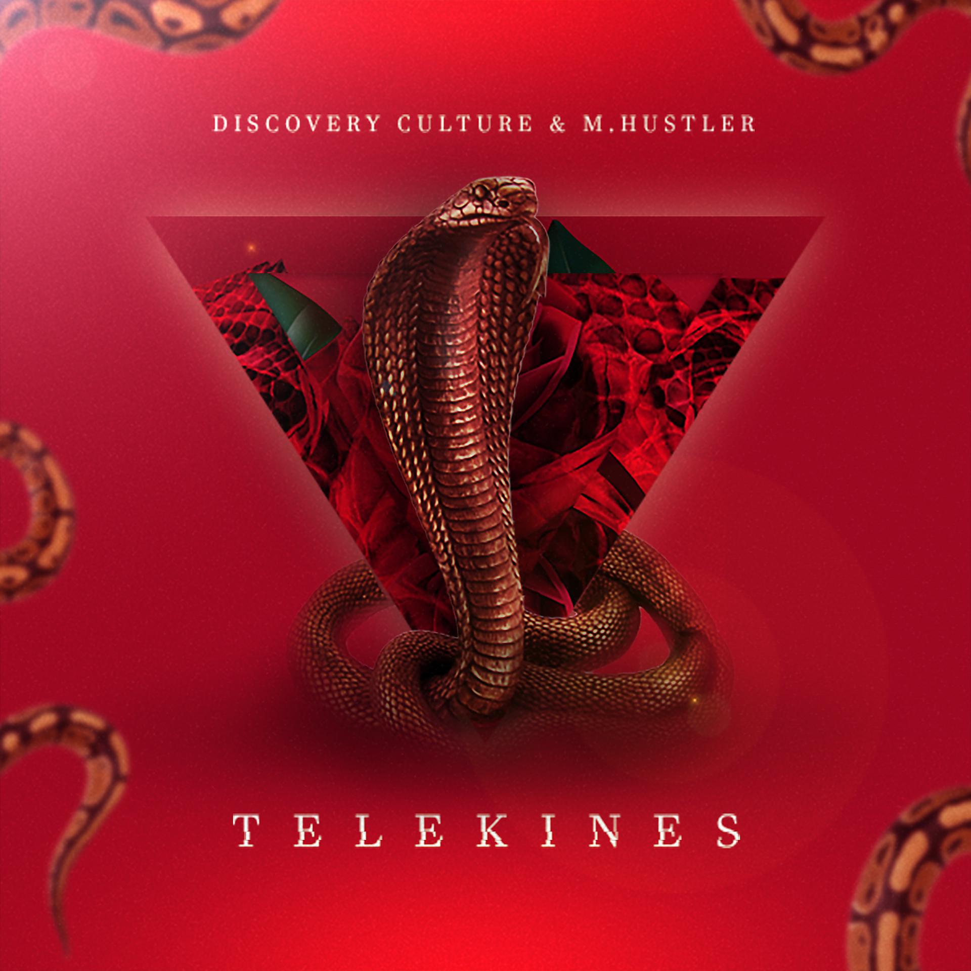 Постер альбома Telekines