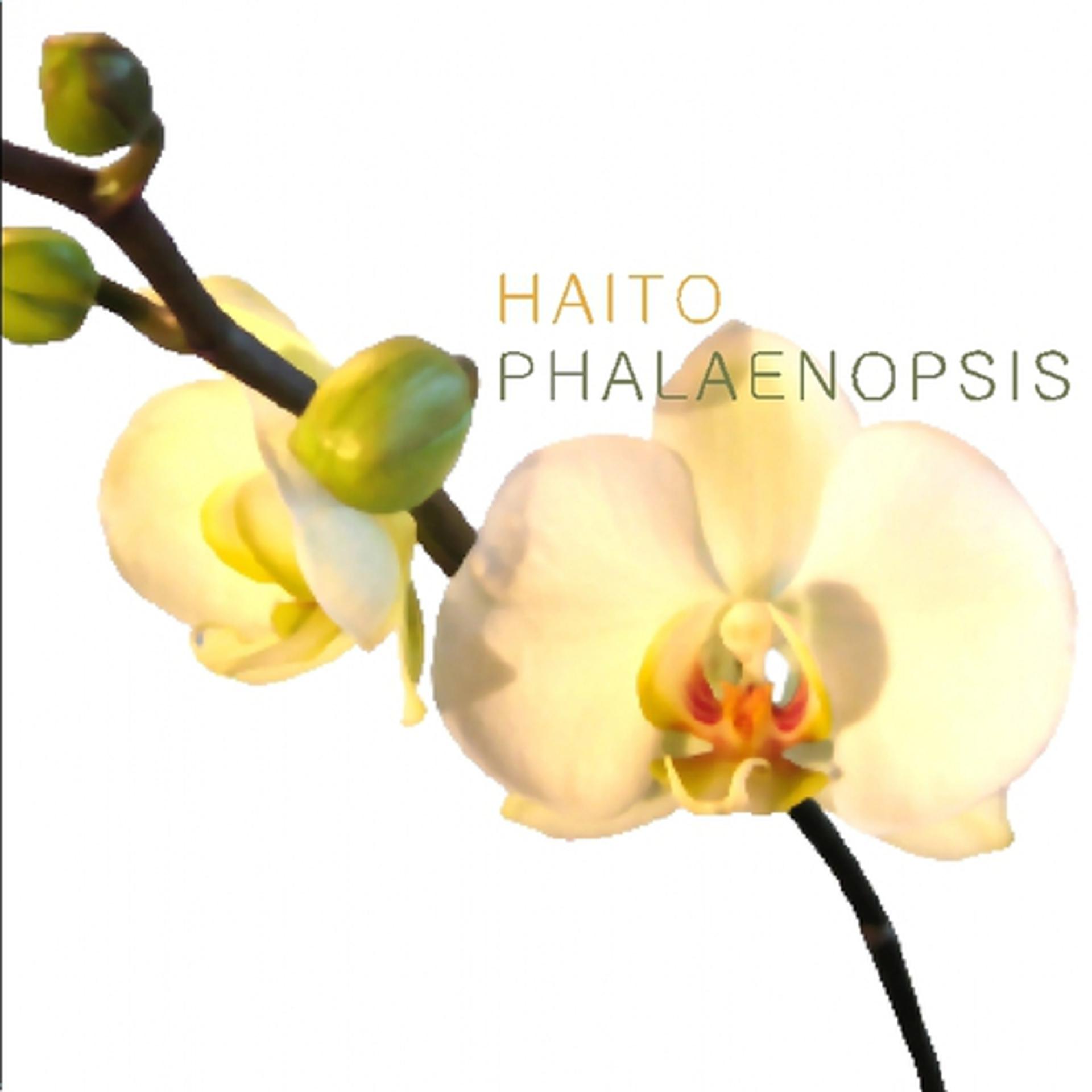 Постер альбома Phalaenosis