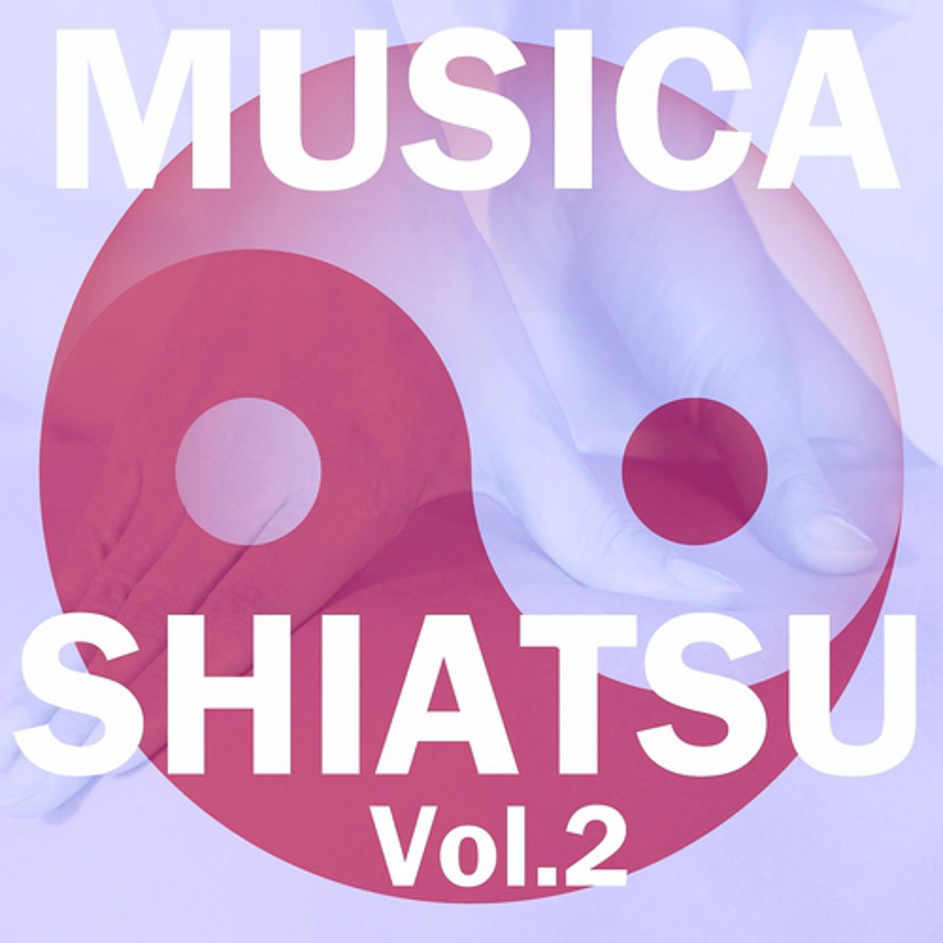 Постер альбома Musica shiatsu, vol. 2