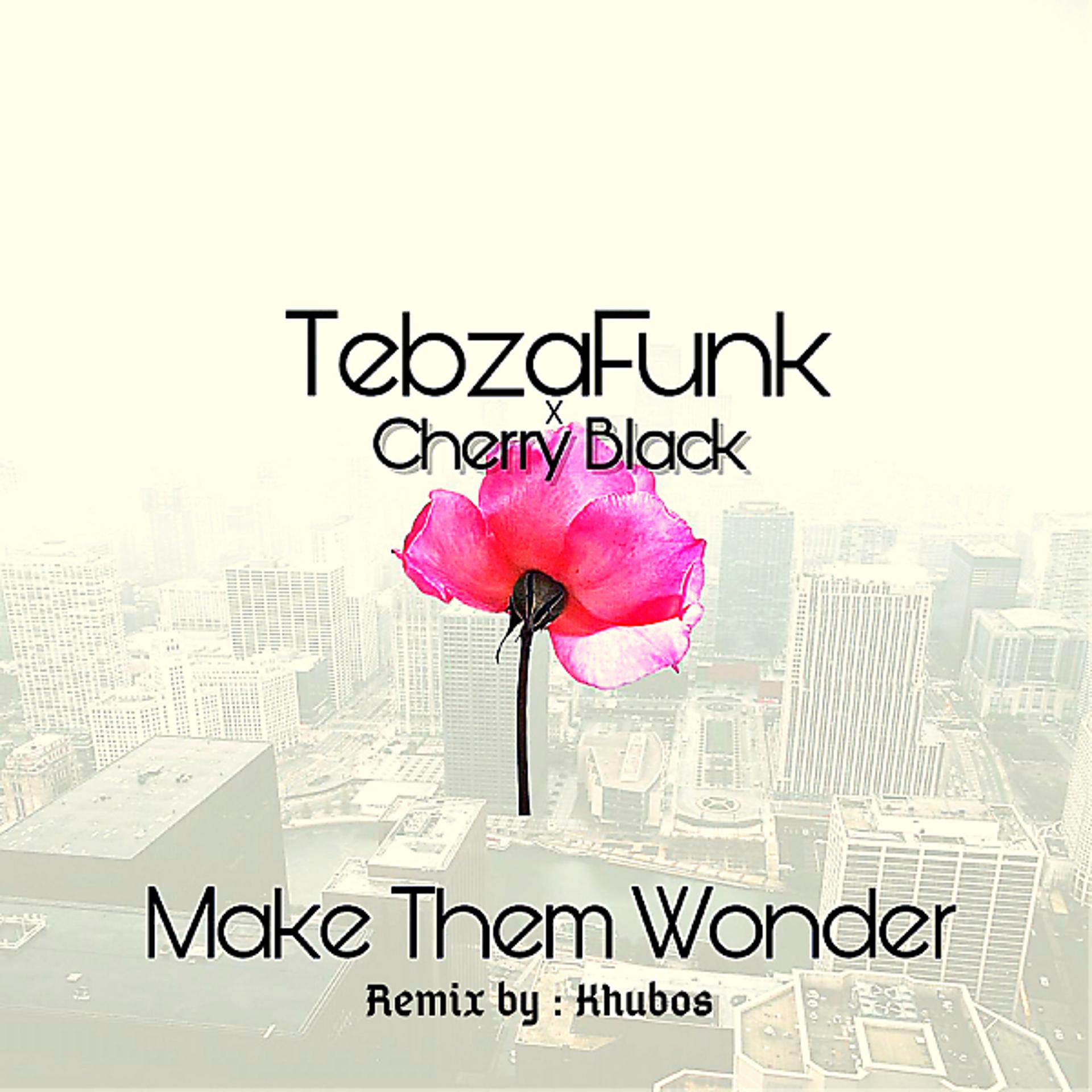 Постер альбома Make Them Wonder (Khubos Remix)