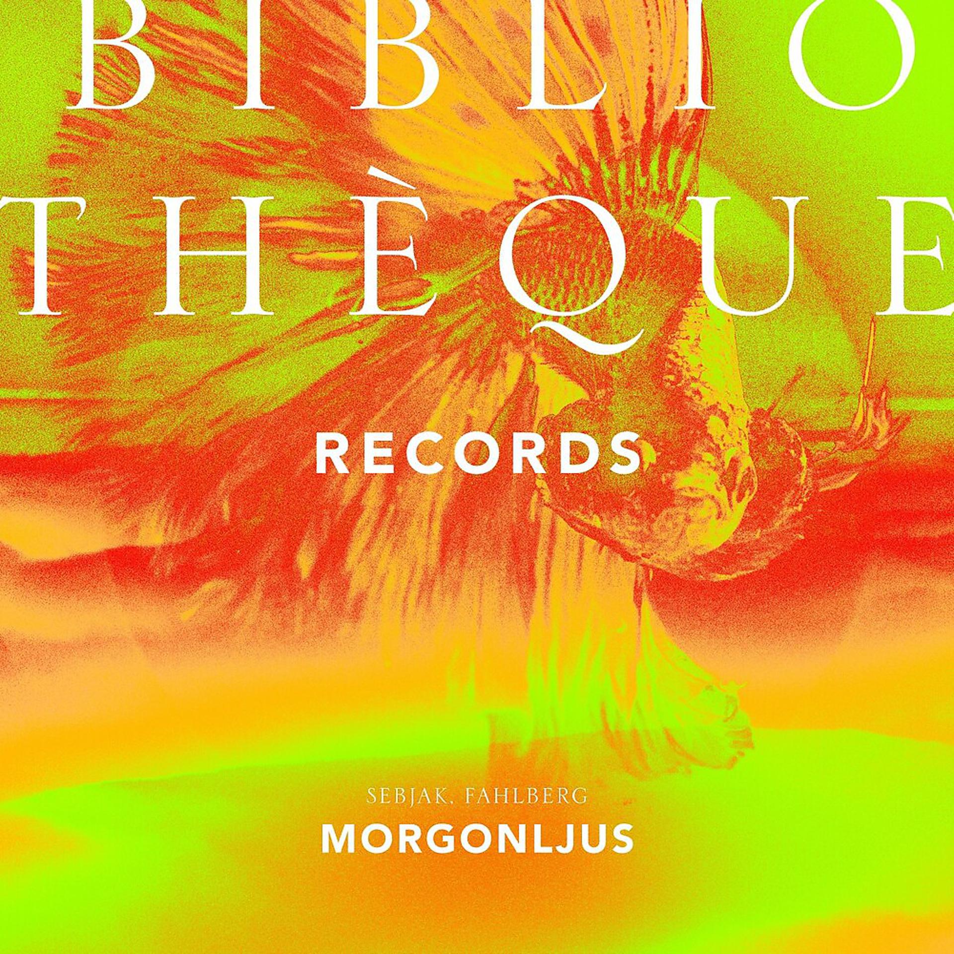 Постер альбома Morgonljus