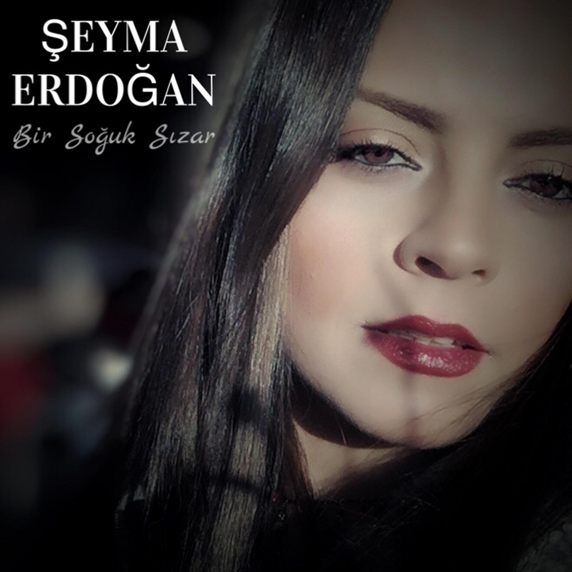 Постер альбома Bir Soğuk Sızar