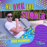 Постер альбома We Own the Summer