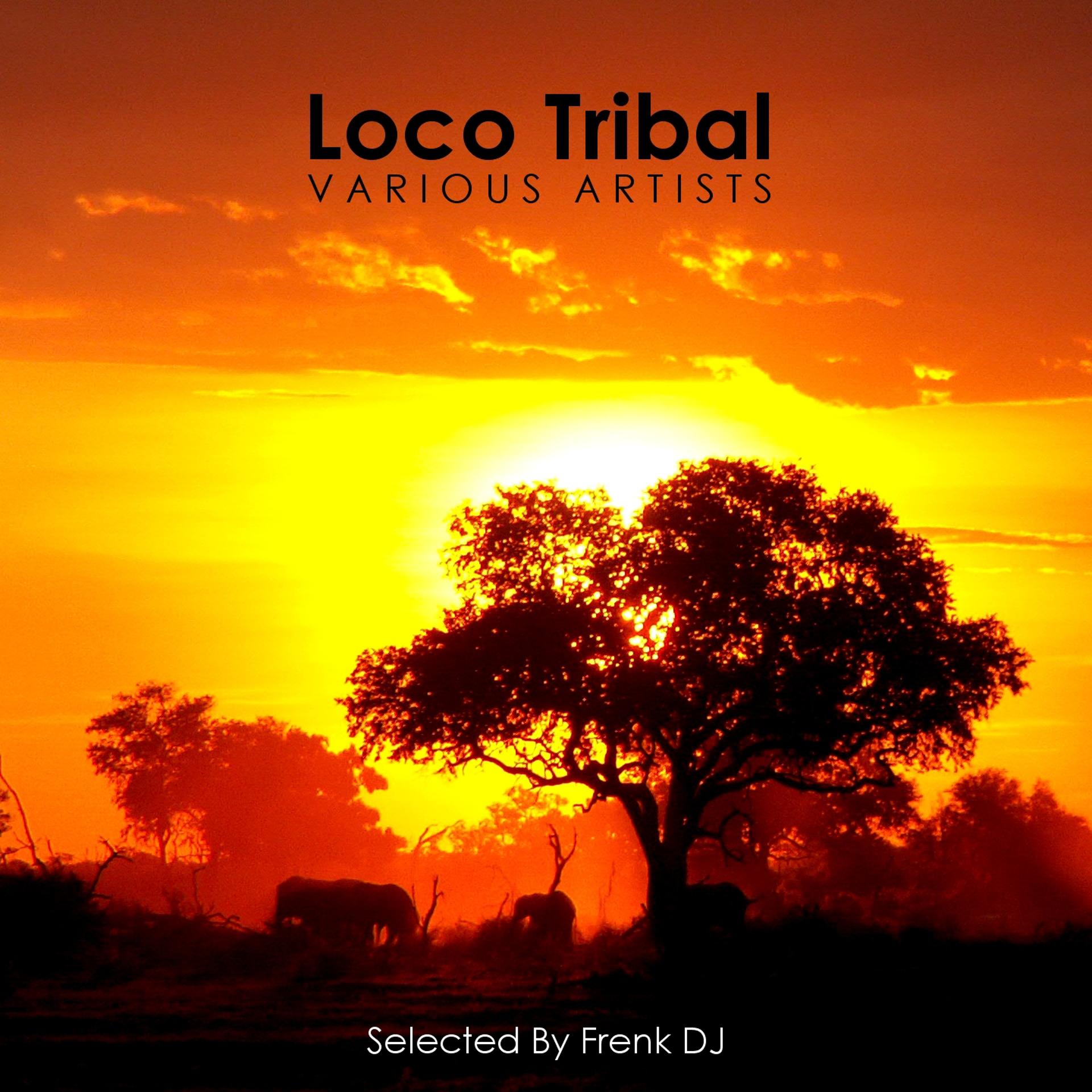 Постер альбома Loco Tribal