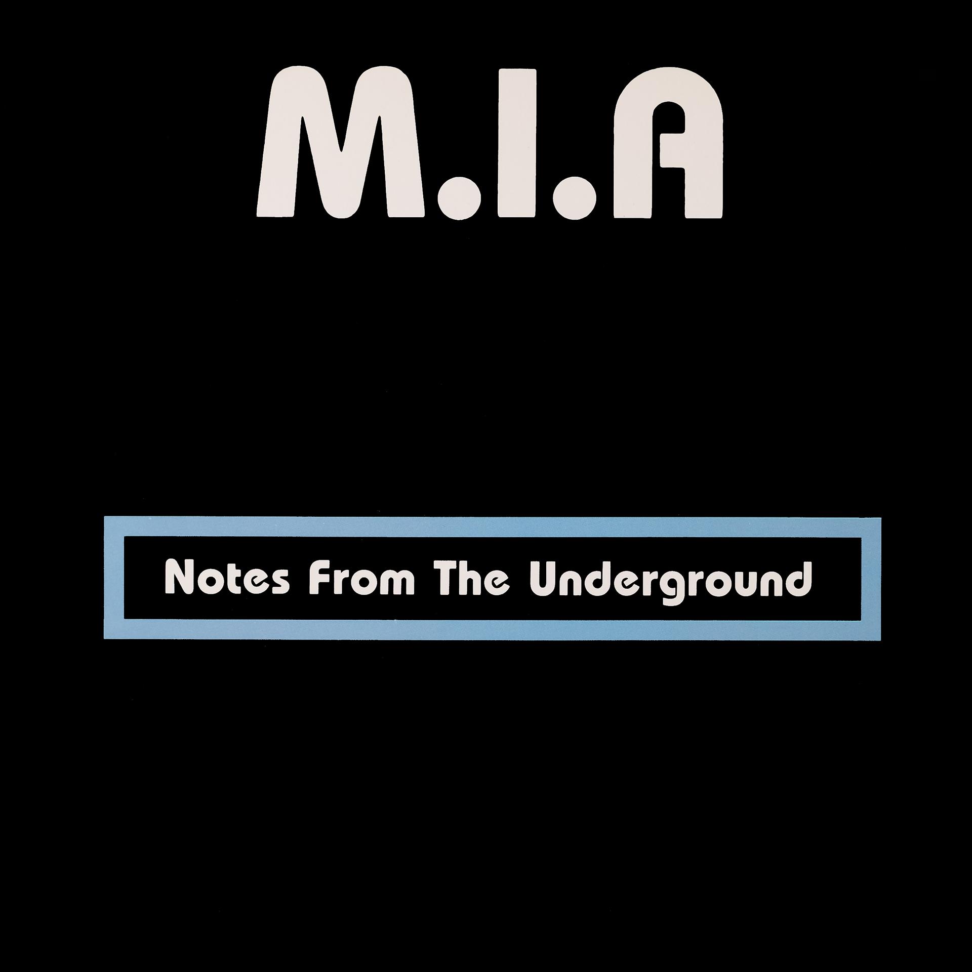 Постер альбома Notes from the Underground
