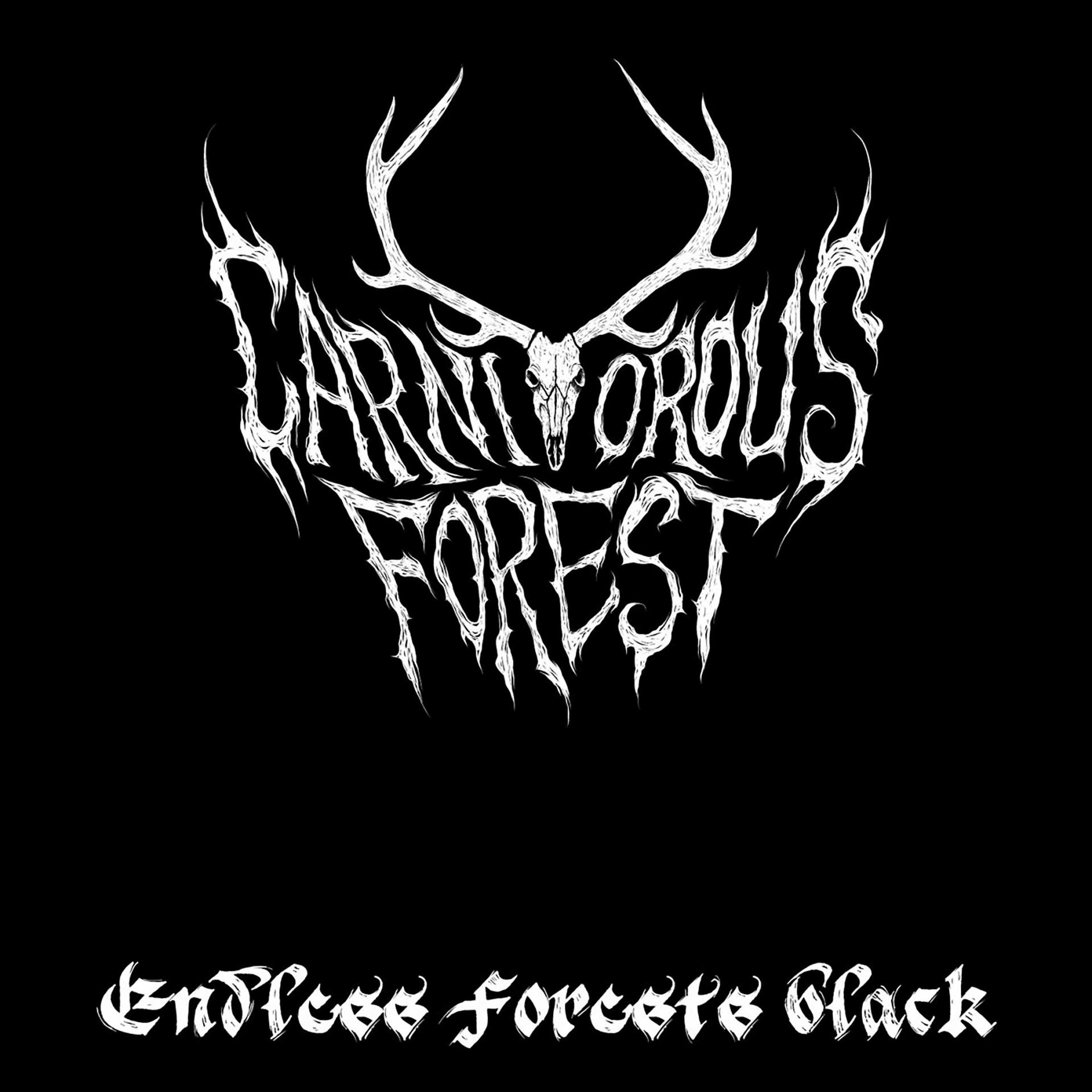 Постер альбома Endless Forests Black