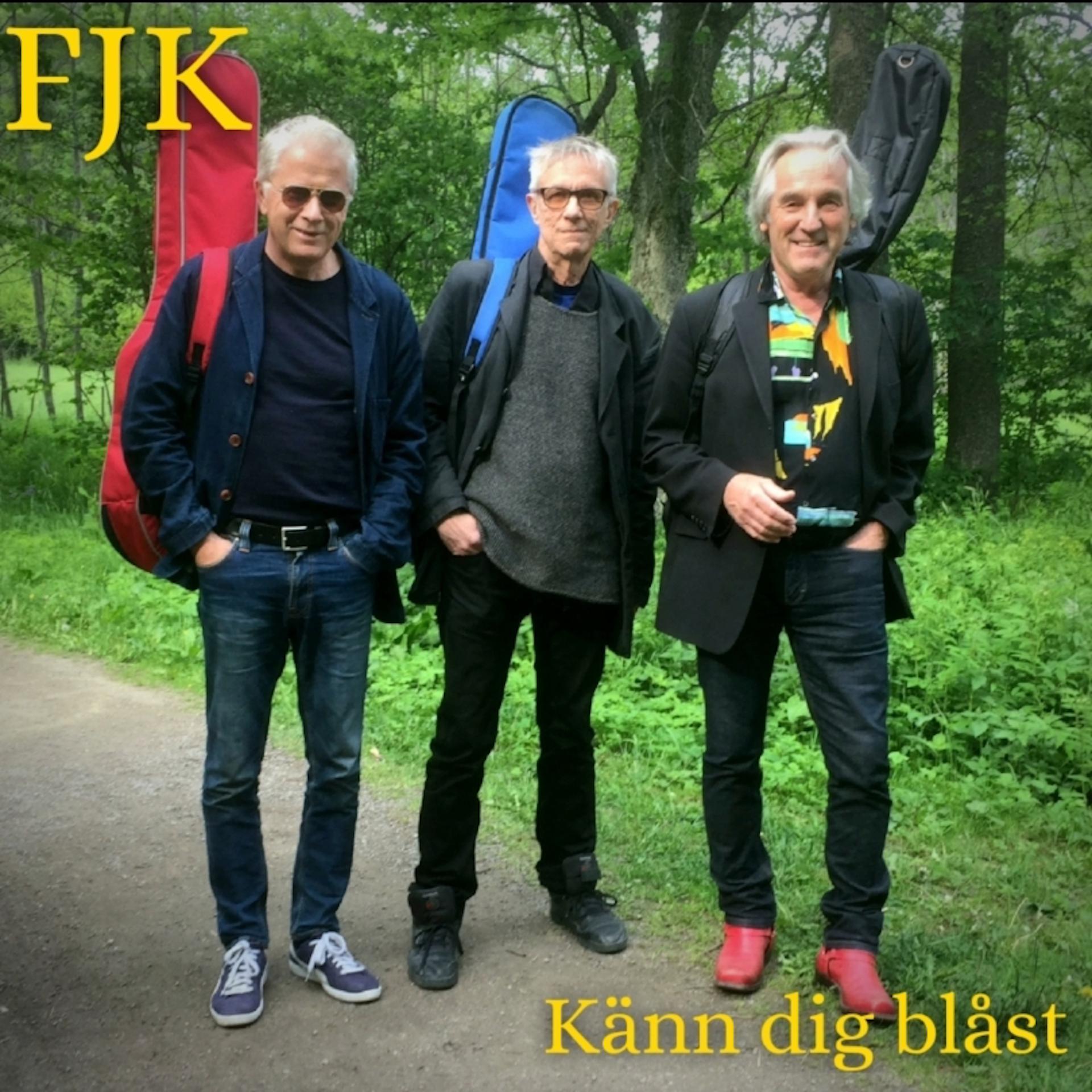 Постер альбома Känn dig blåst