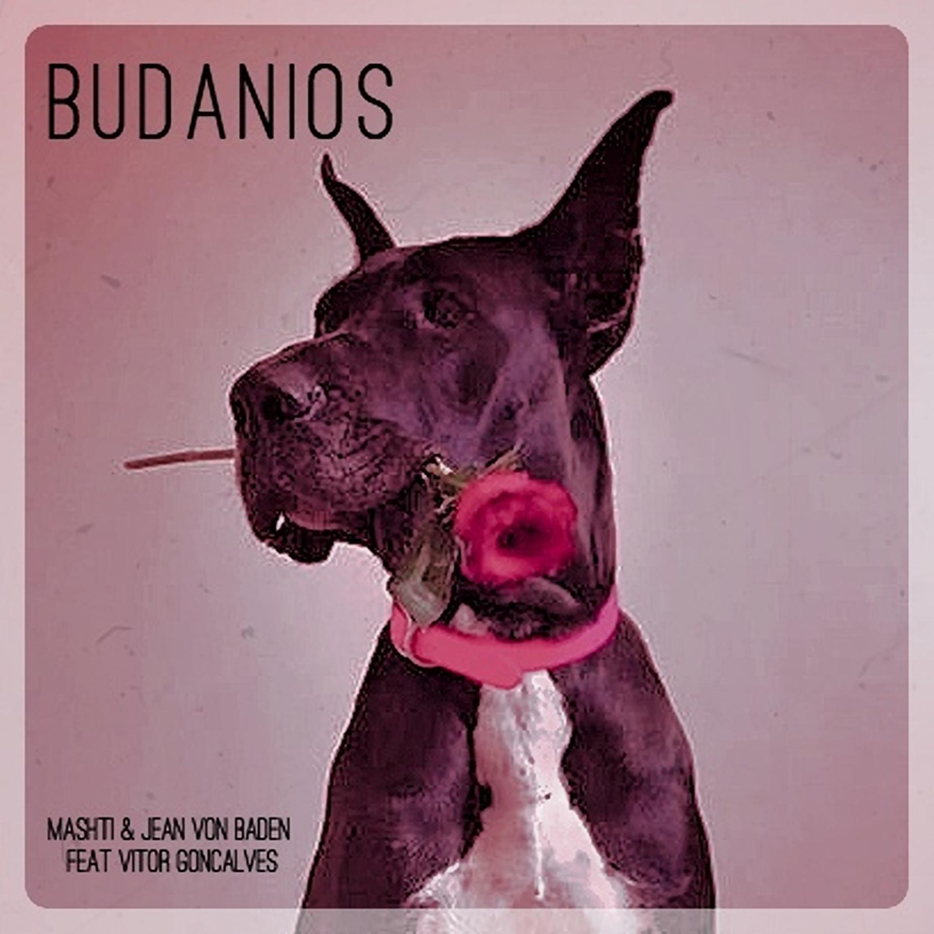Постер альбома Budanois
