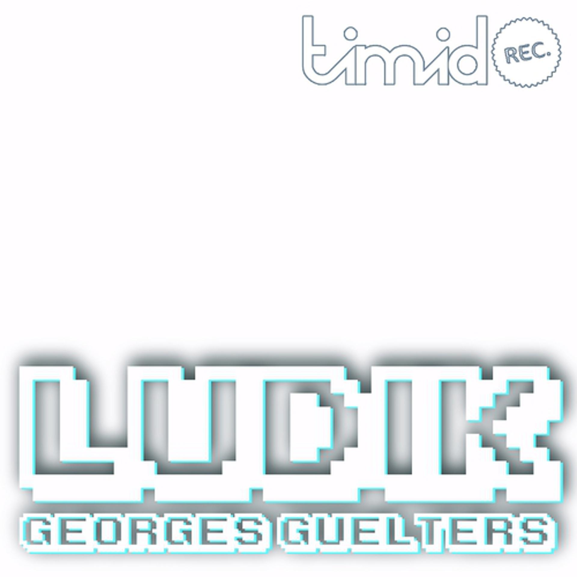 Постер альбома Ludik