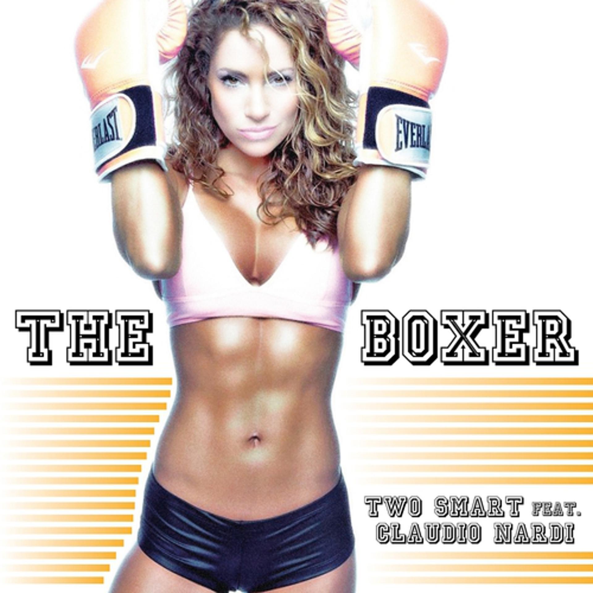 Постер альбома The Boxer