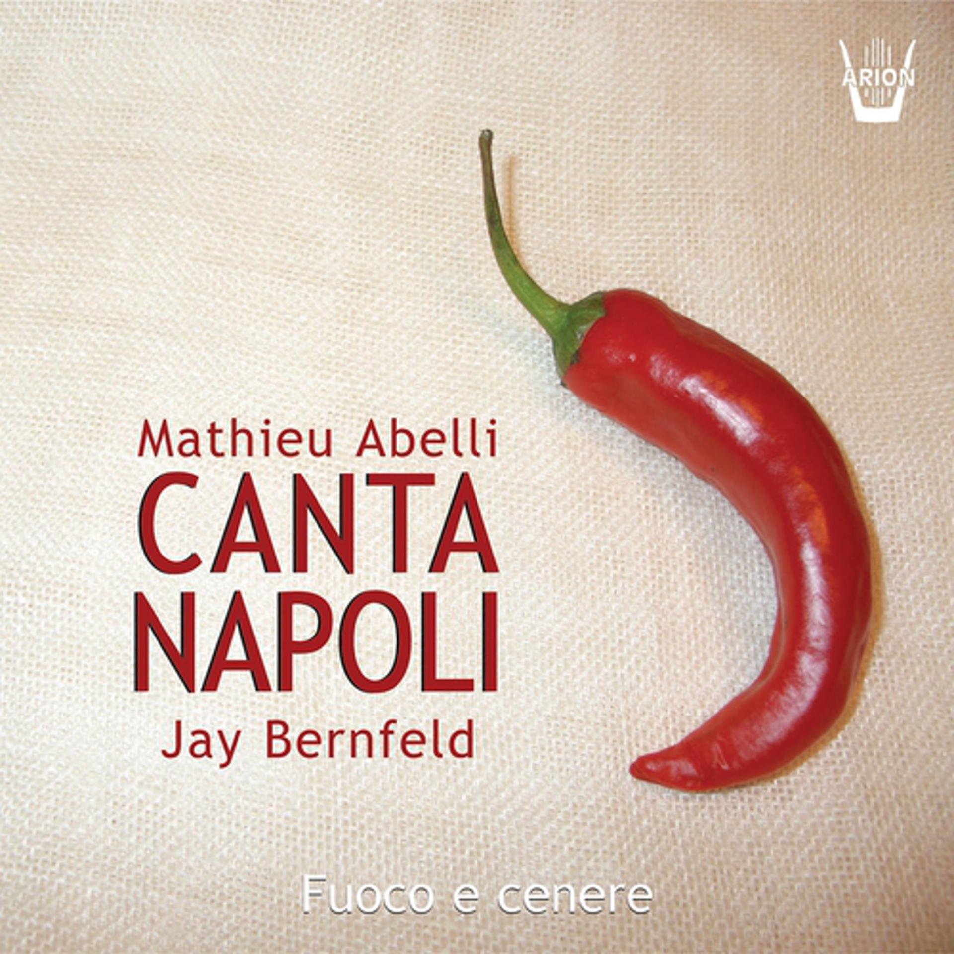 Постер альбома Canta Napoli : 400 ans de chansons napolitaines