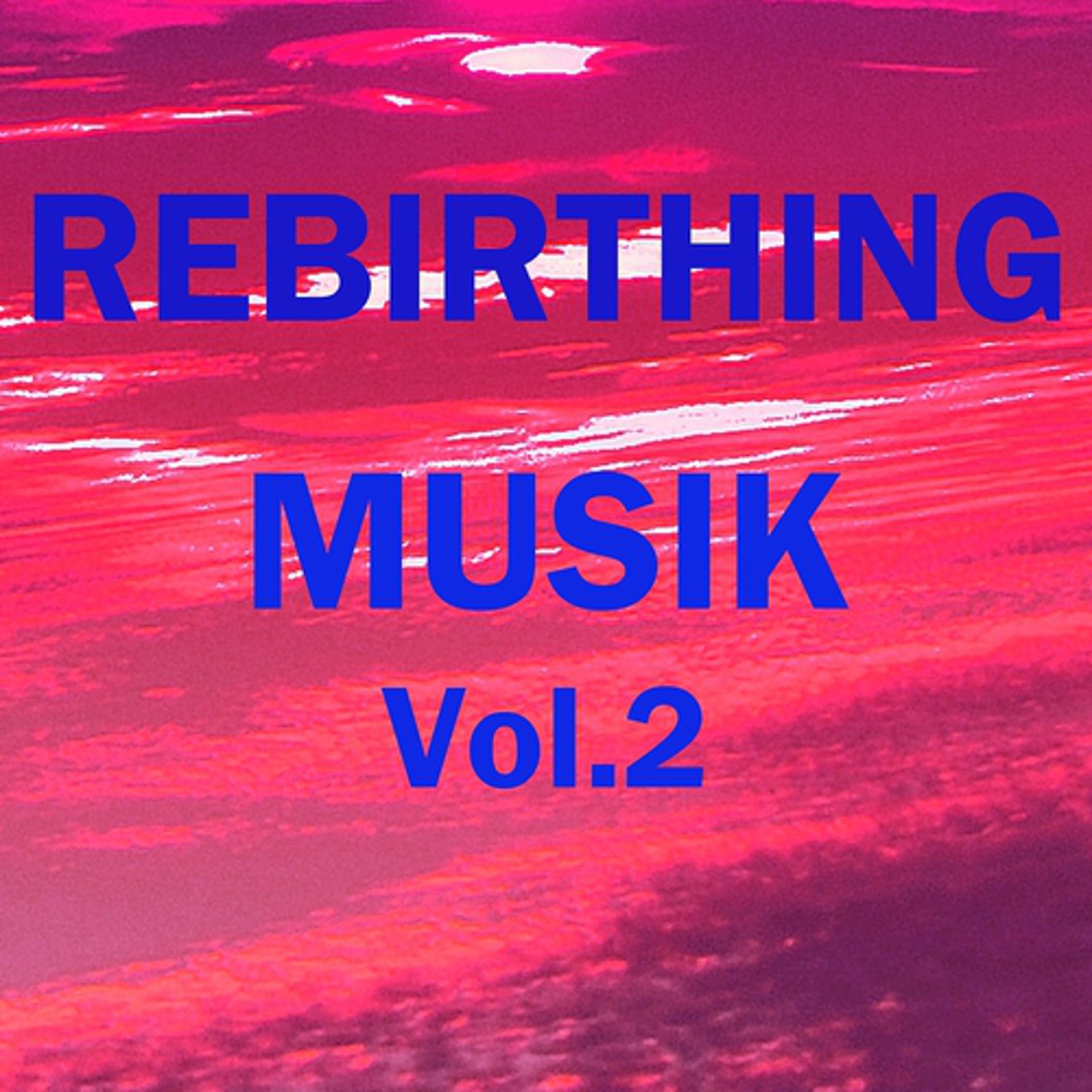 Постер альбома Rebirthing musik, vol. 2