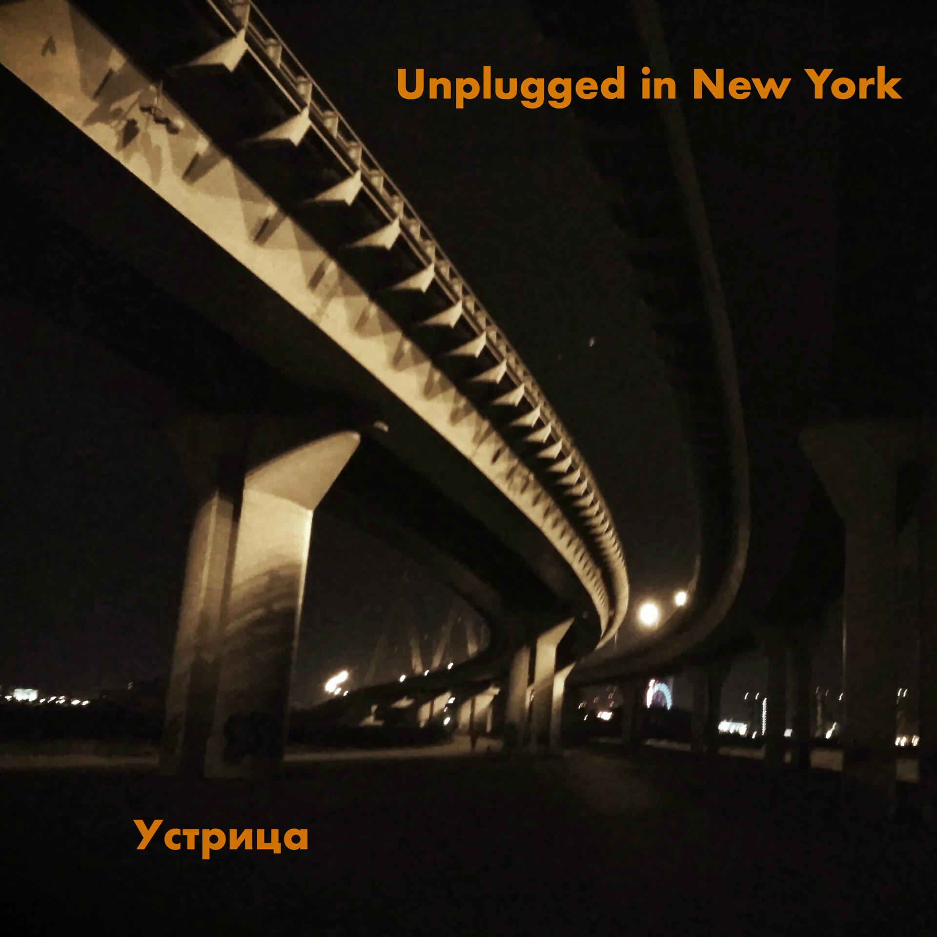 Постер альбома Unplugged in New York