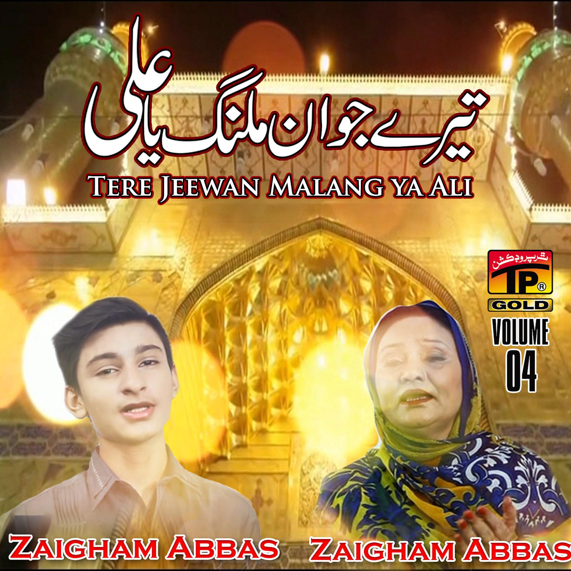 Постер альбома Tere Jeewan Malang Ya Ali, Vol. 4