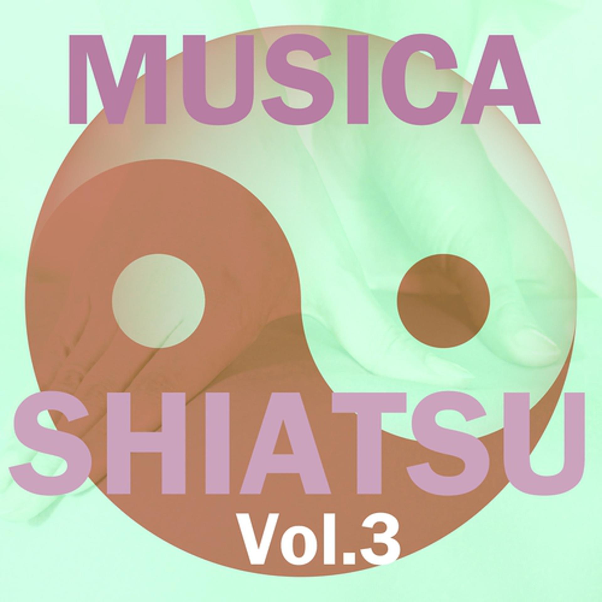 Постер альбома Musica Shiatsu, Vol. 3