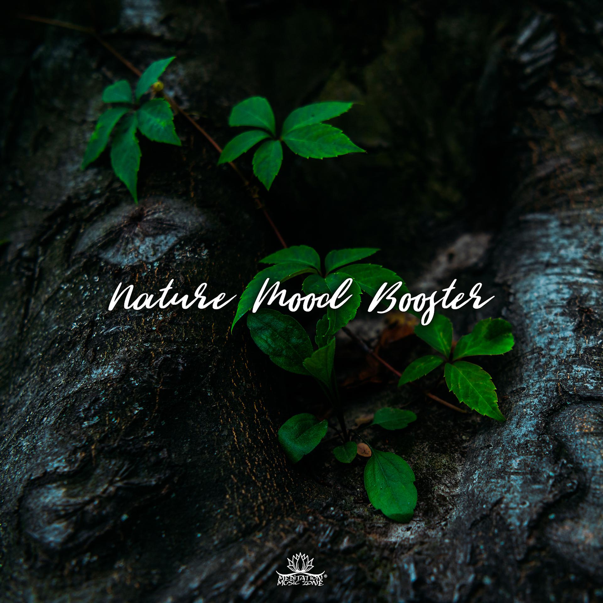 Постер альбома Nature Mood Booster