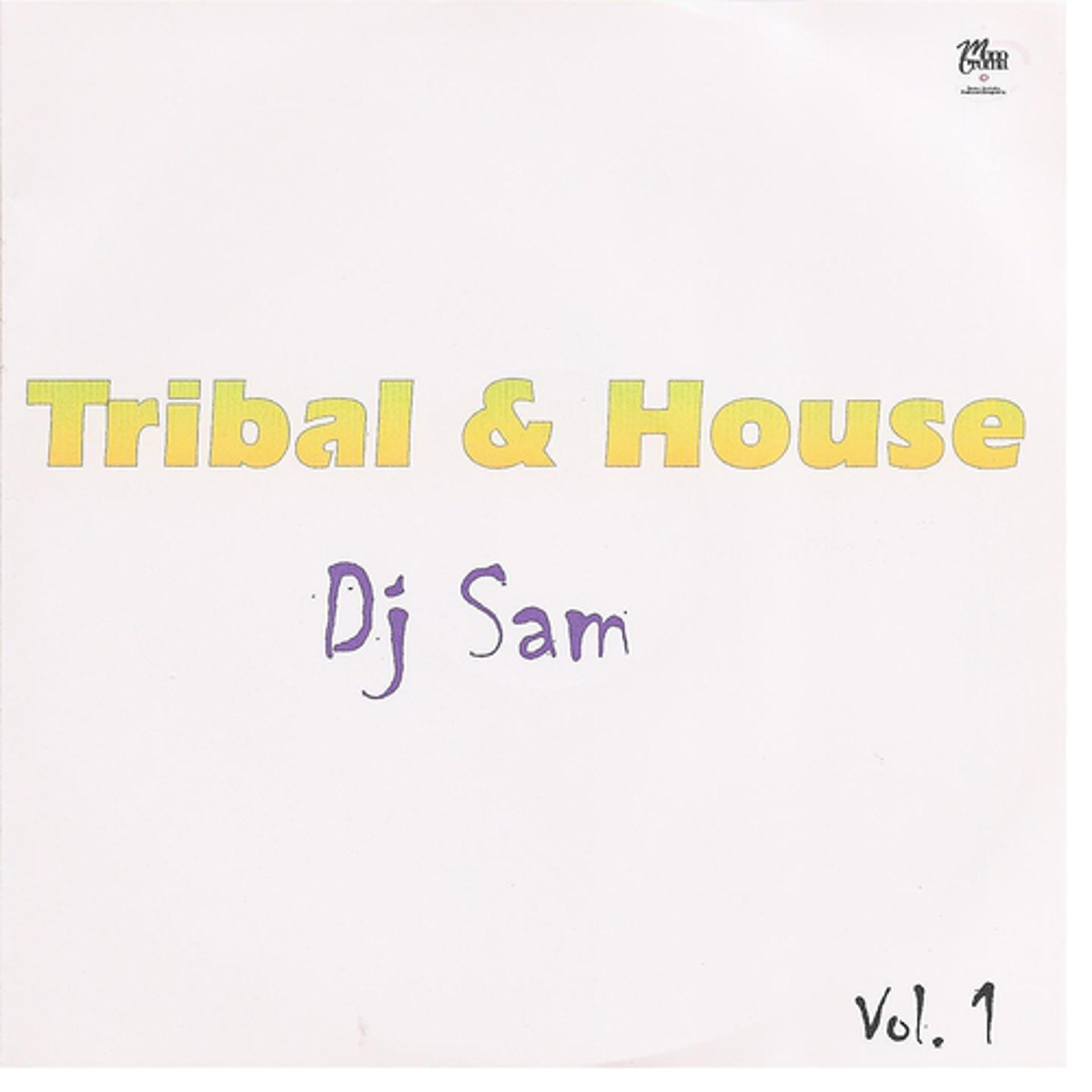 Постер альбома Tribal & House