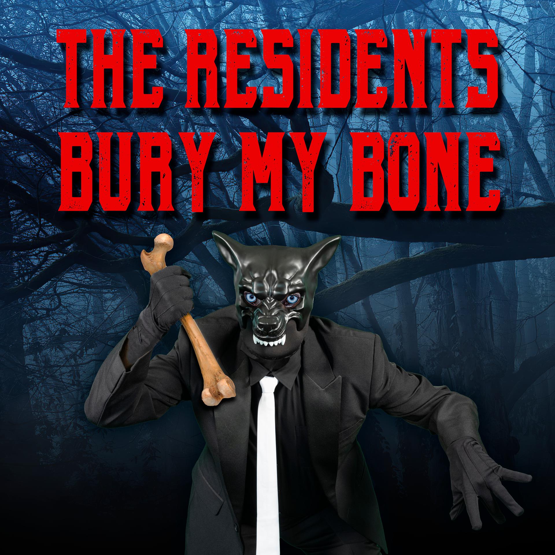 Постер альбома Bury My Bone