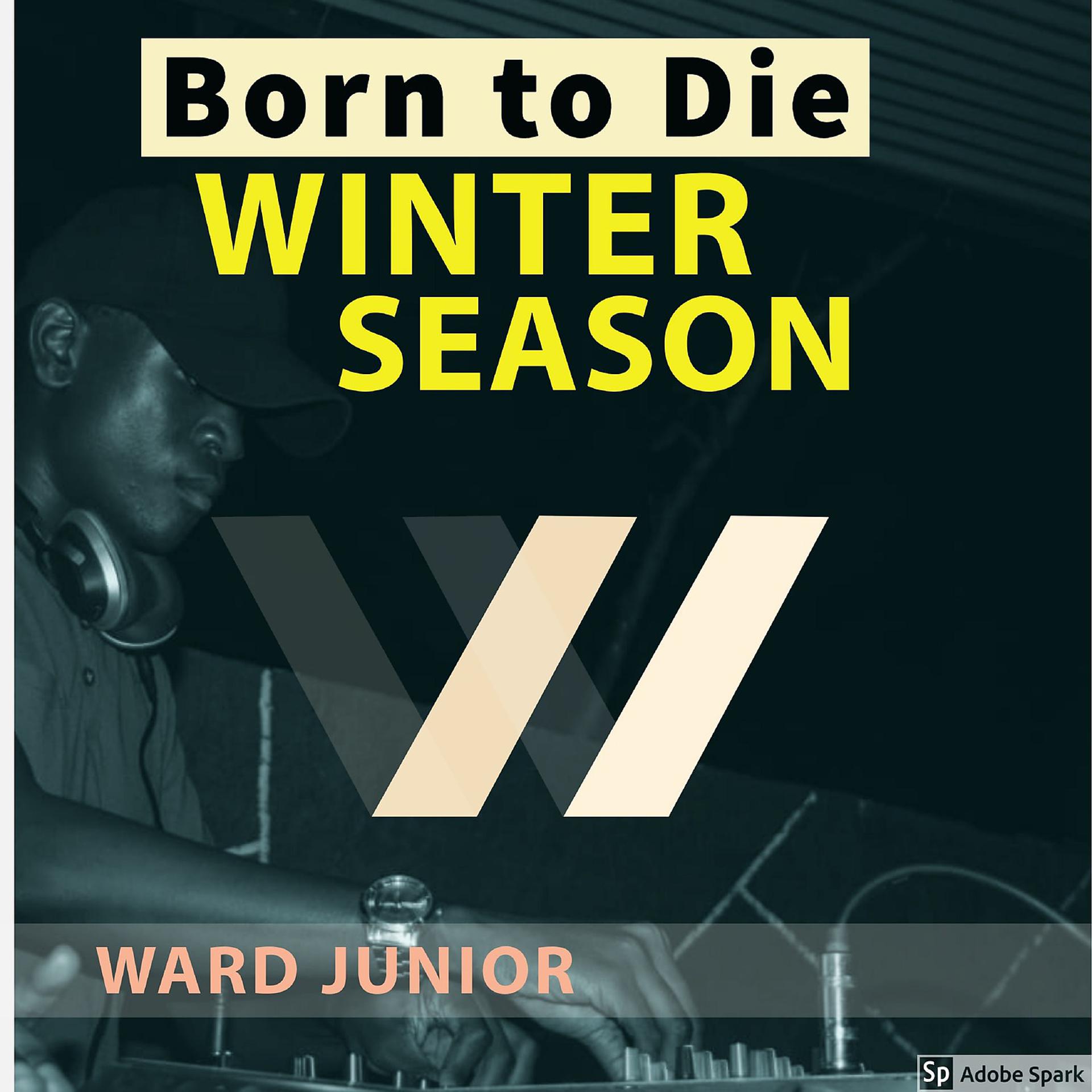 Постер альбома Born to Die (Winter Season)