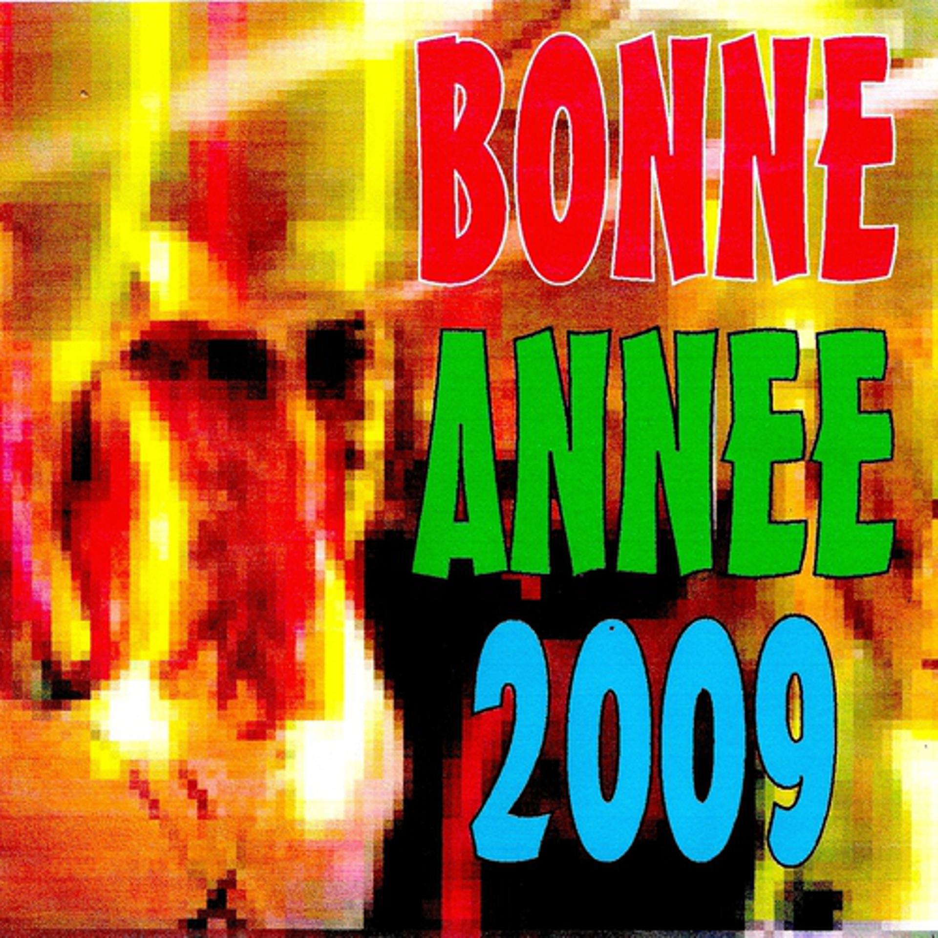 Постер альбома Bonne année 2009