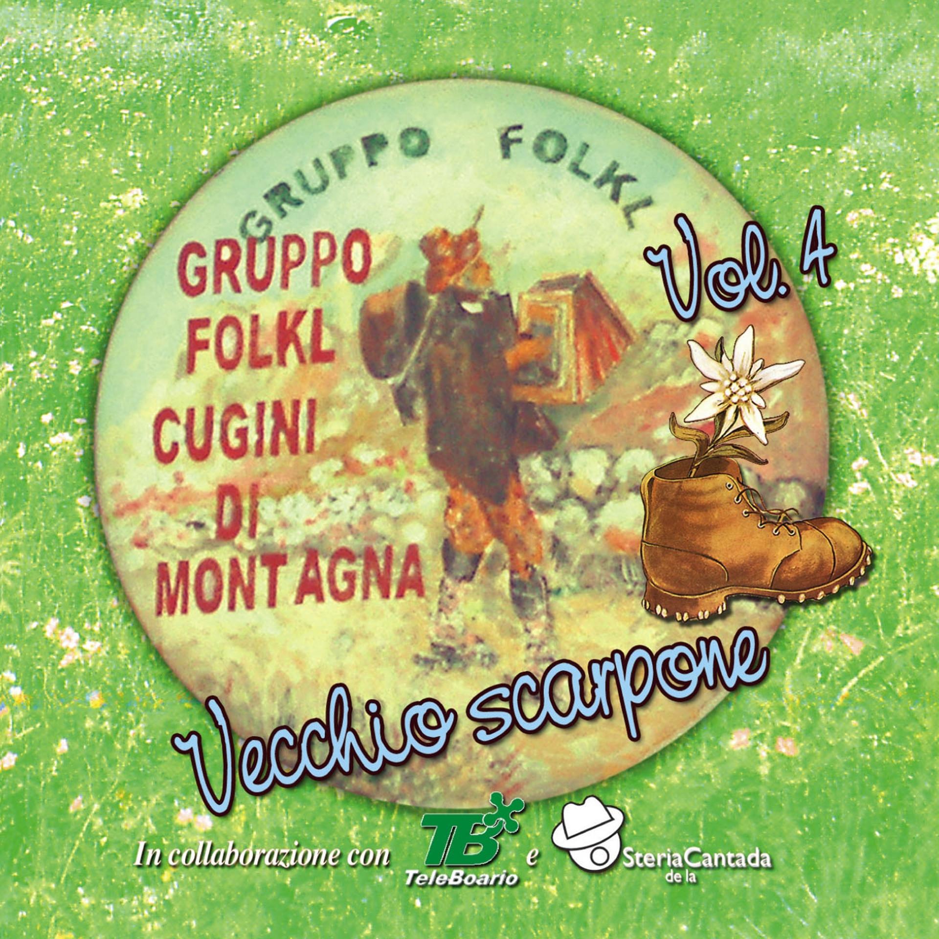 Постер альбома Vecchio scarpone