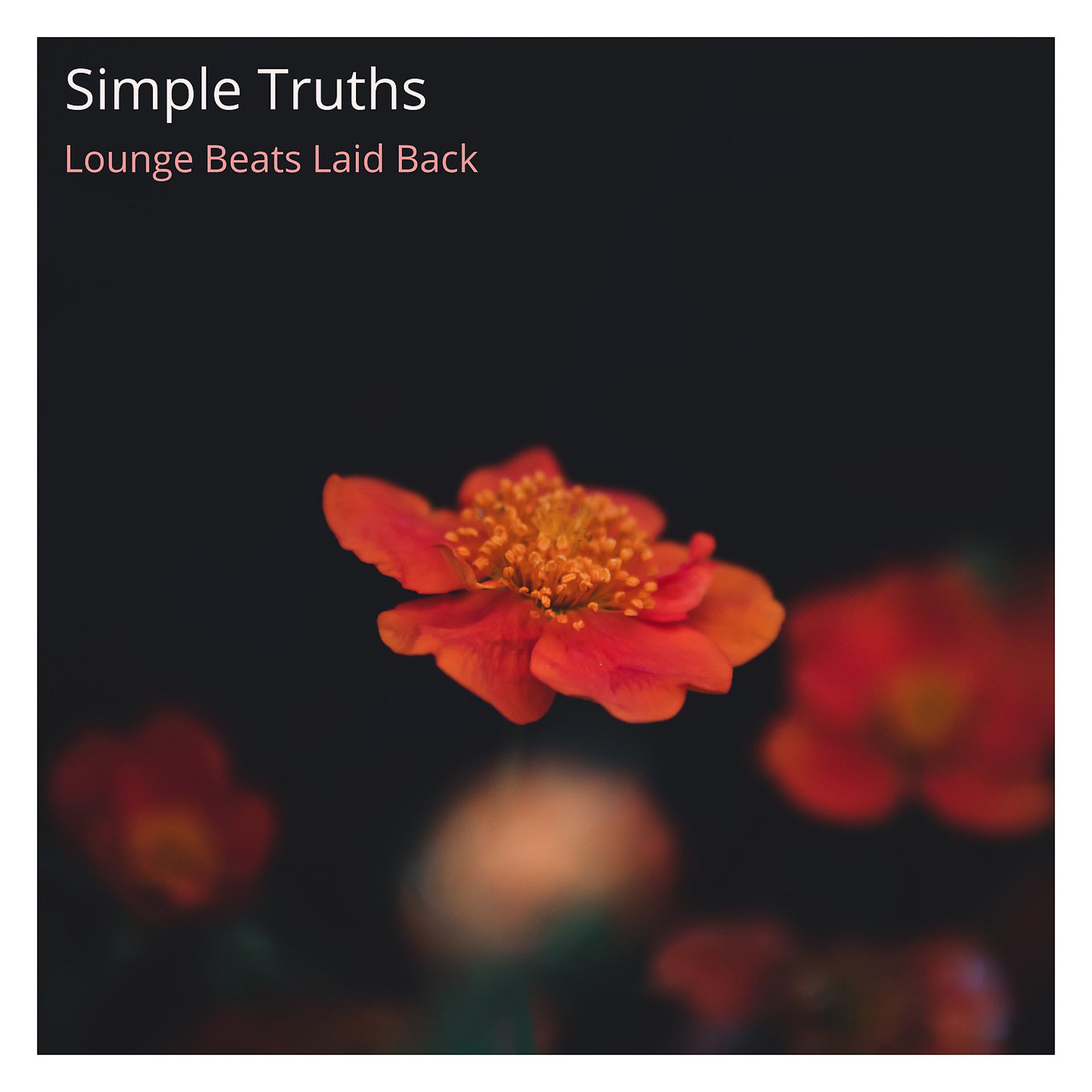 Постер альбома Simple Truths (Lounge Beats Laid Back)