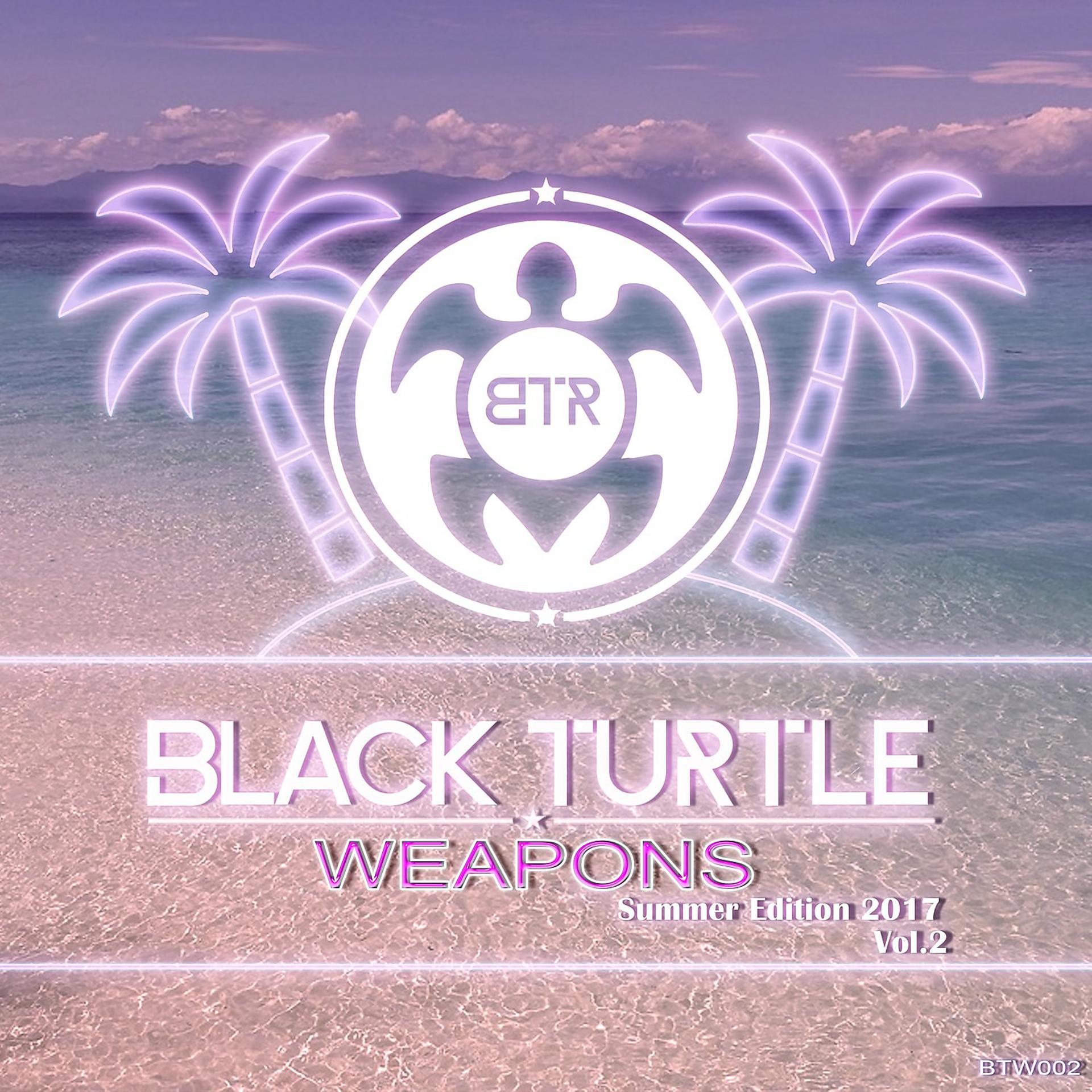 Постер альбома Black Turtle Weapons Summer Edition 2017 Vol.2