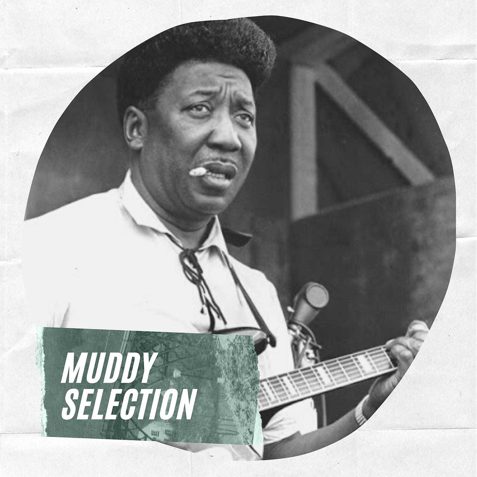 Постер альбома Muddy Selection