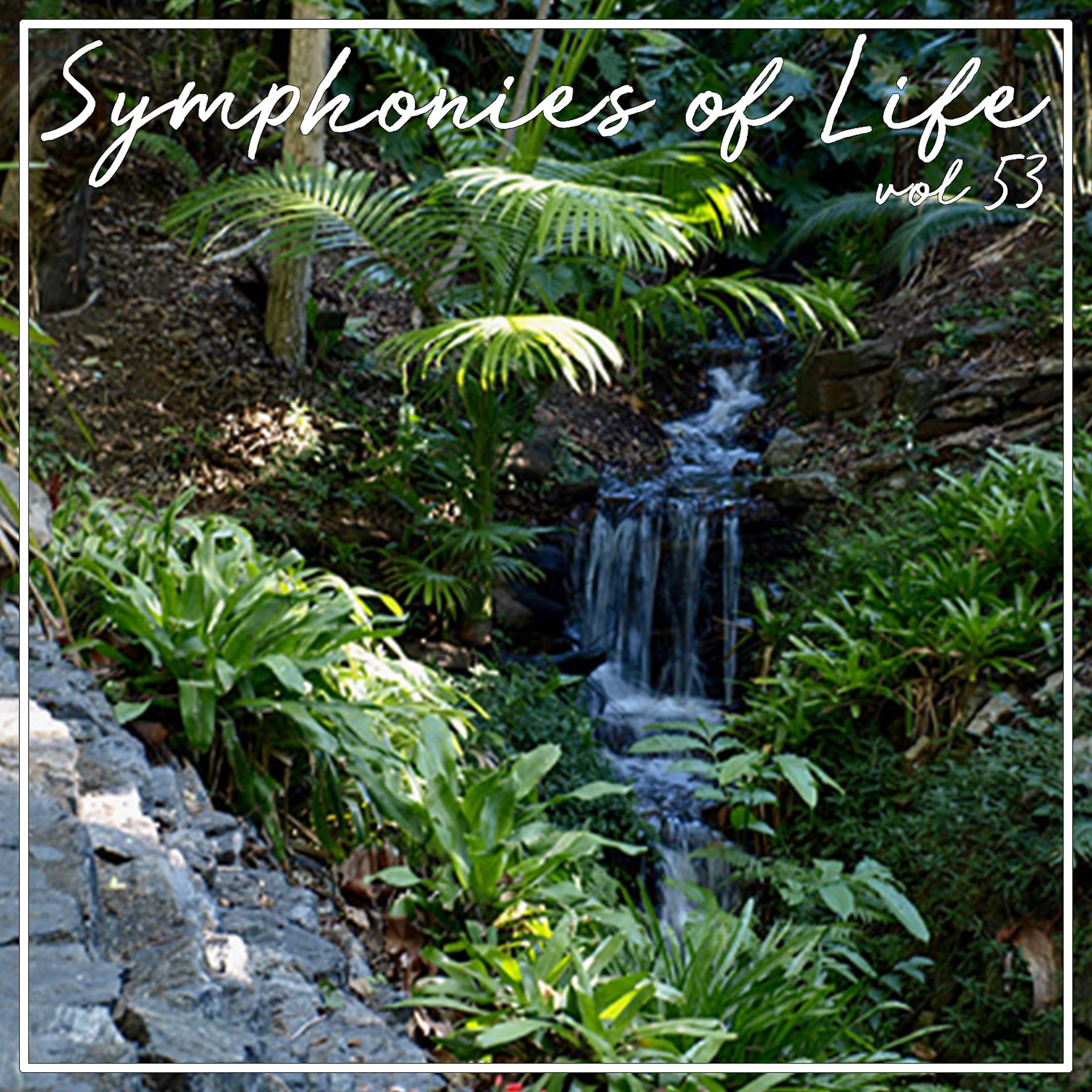 Постер альбома Symphonies of Life, Vol. 53 - Gershwin: Rhapsody in Blue, Concerto, An American in Paris