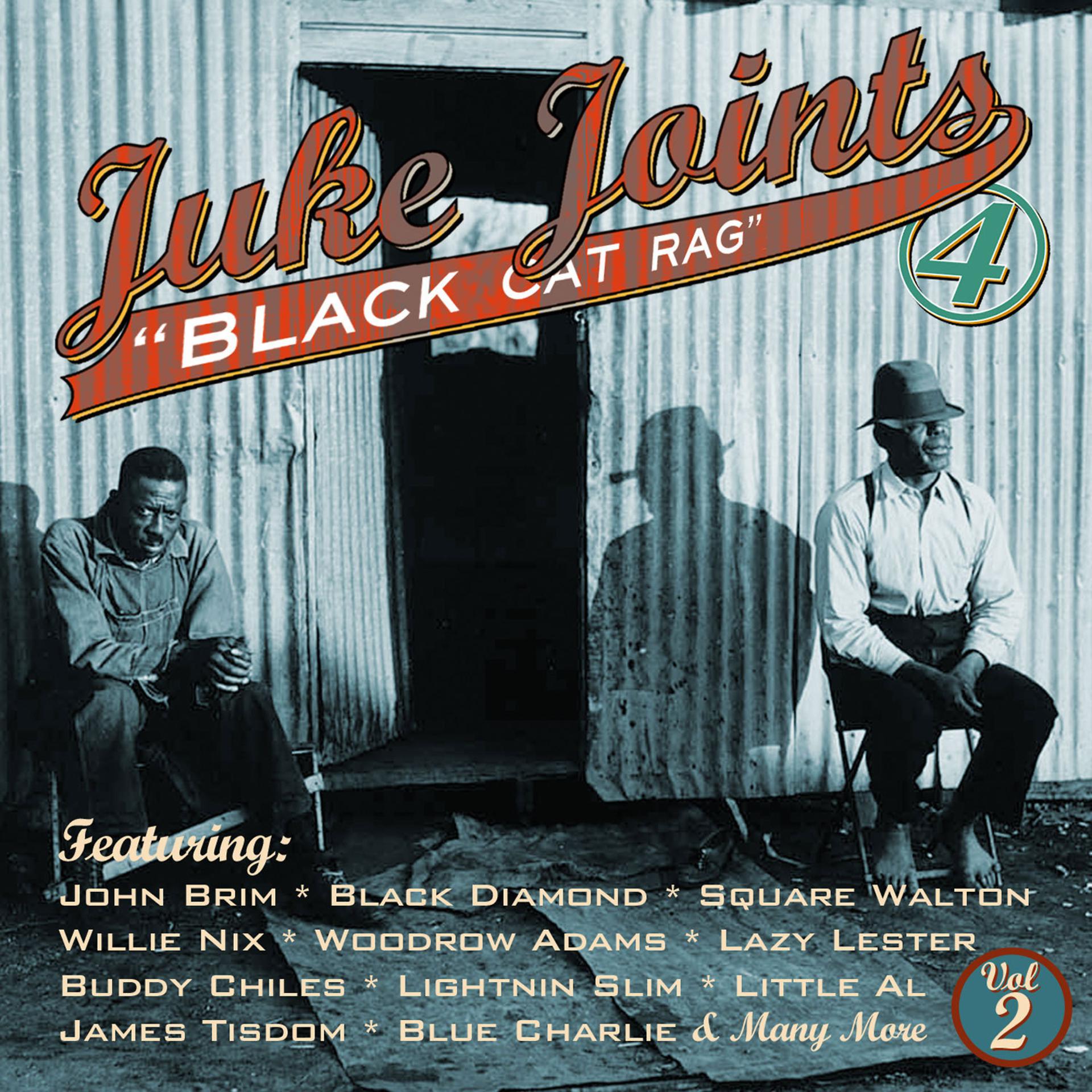 Постер альбома Juke Joint Blues Black Cat Rag