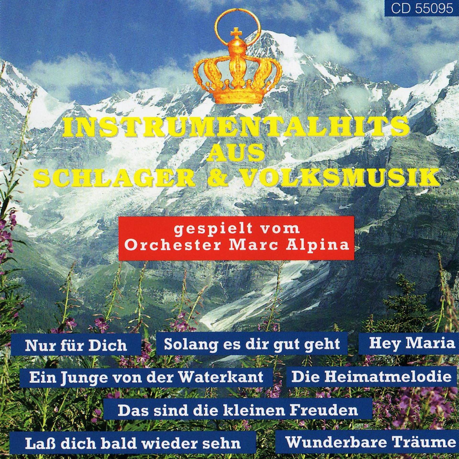 Постер альбома Instrumentale Hits, Vol. 1