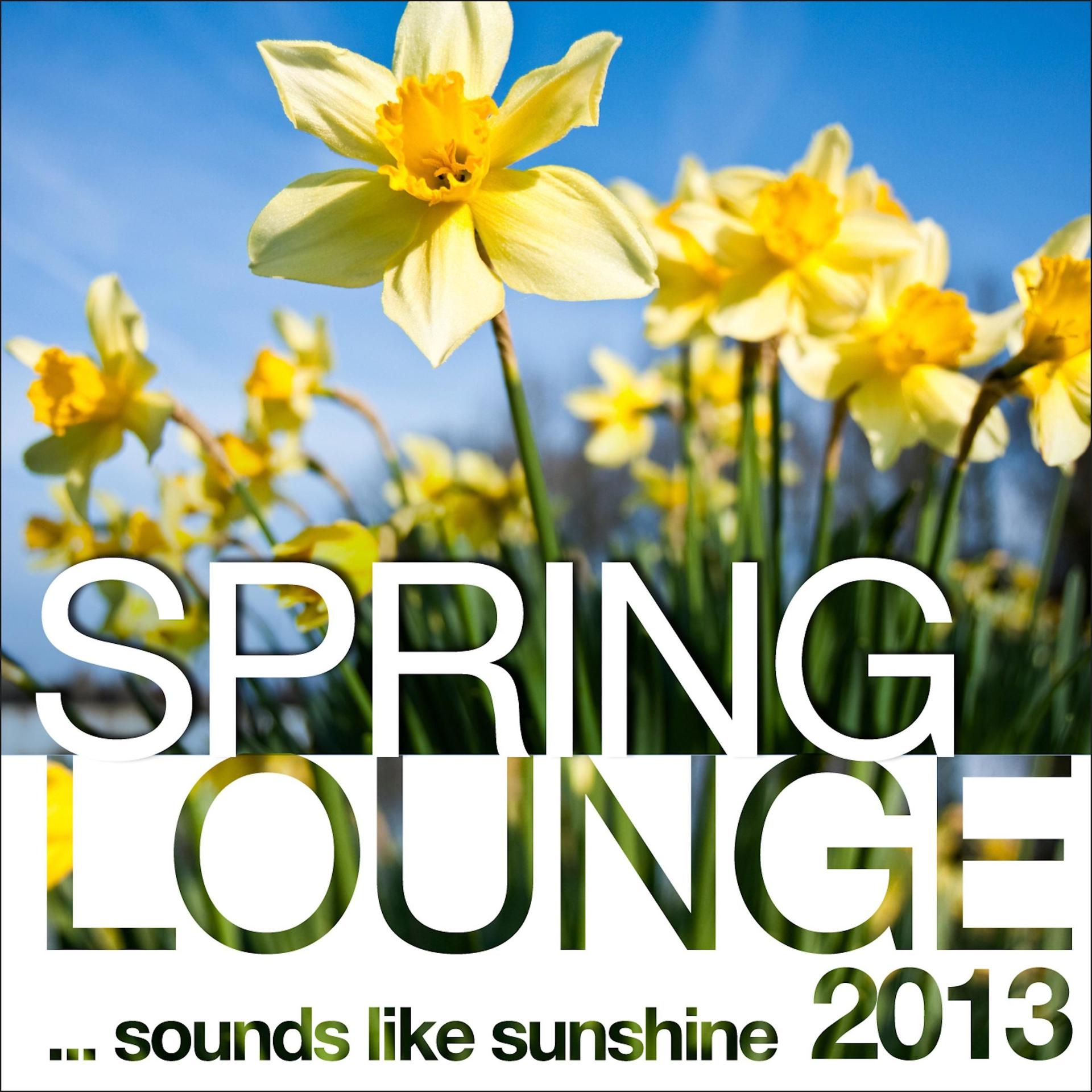 Постер альбома Spring Lounge 2013 (Sounds Like Sunshine)