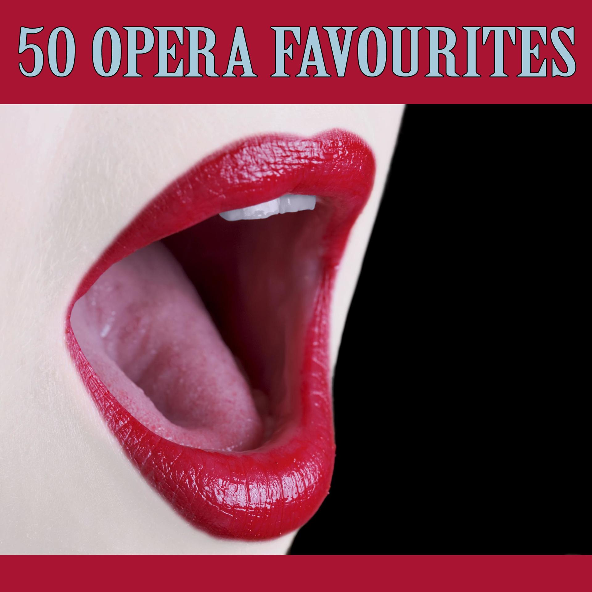 Постер альбома Mozart, Puccini, Verdi & Bizet: 50 Opera Favourites