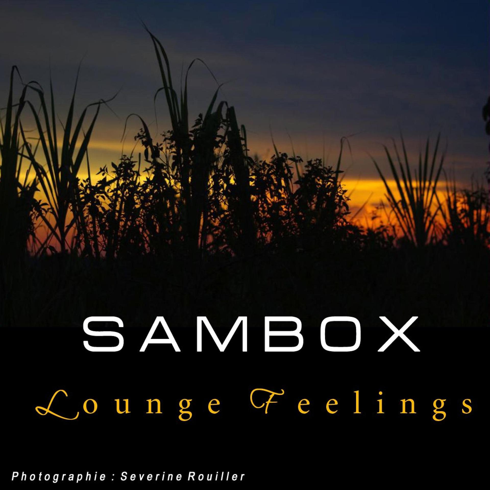 Постер альбома Lounge Feelings