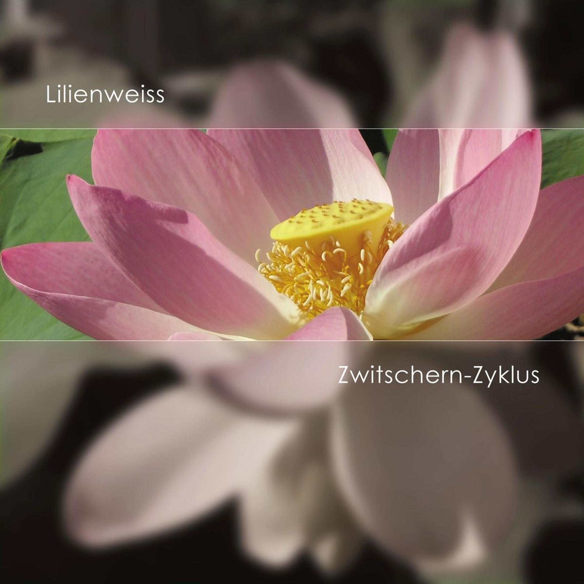 Постер альбома Zwitschern-Zyklus (Twitter Cycle)