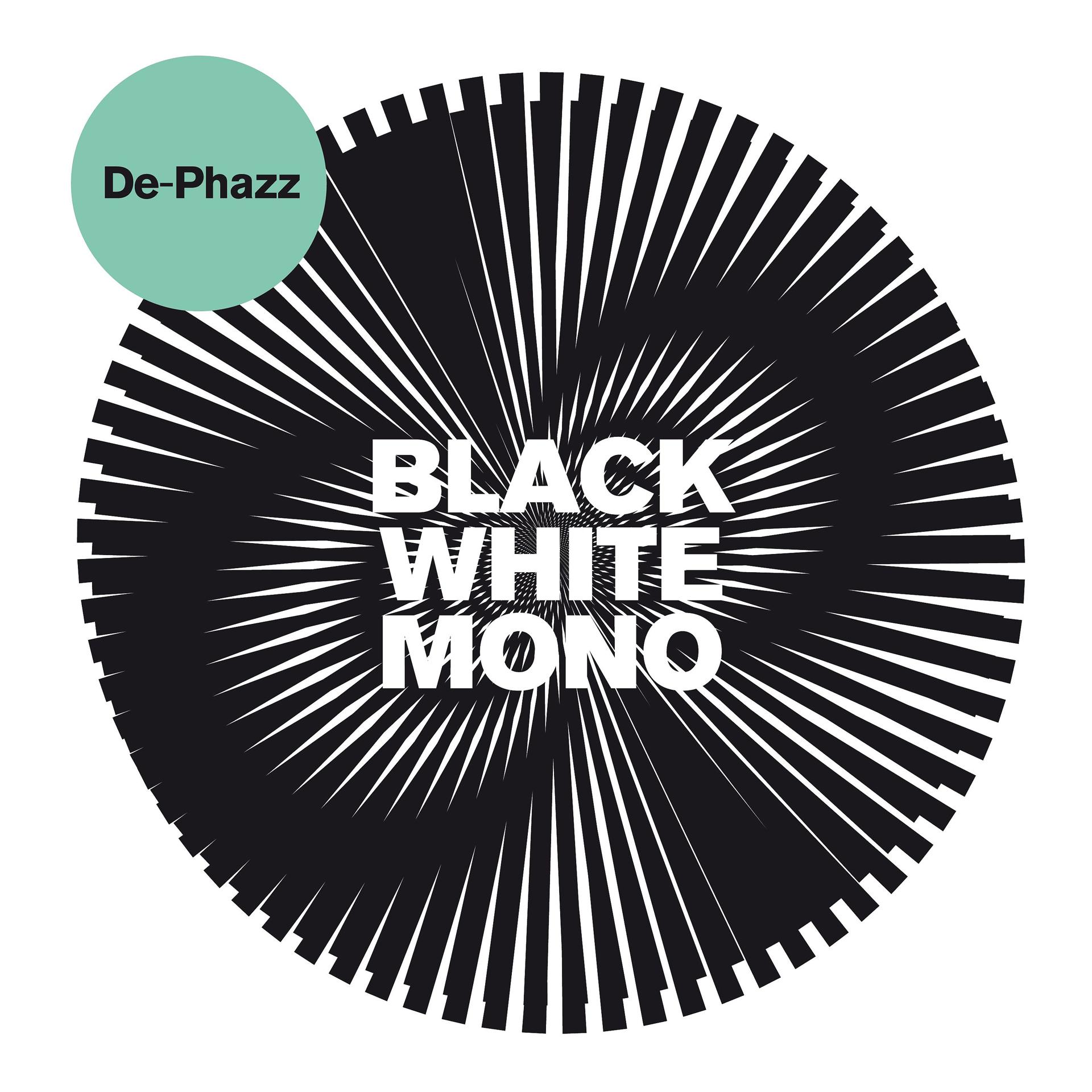 Постер альбома Black White Mono