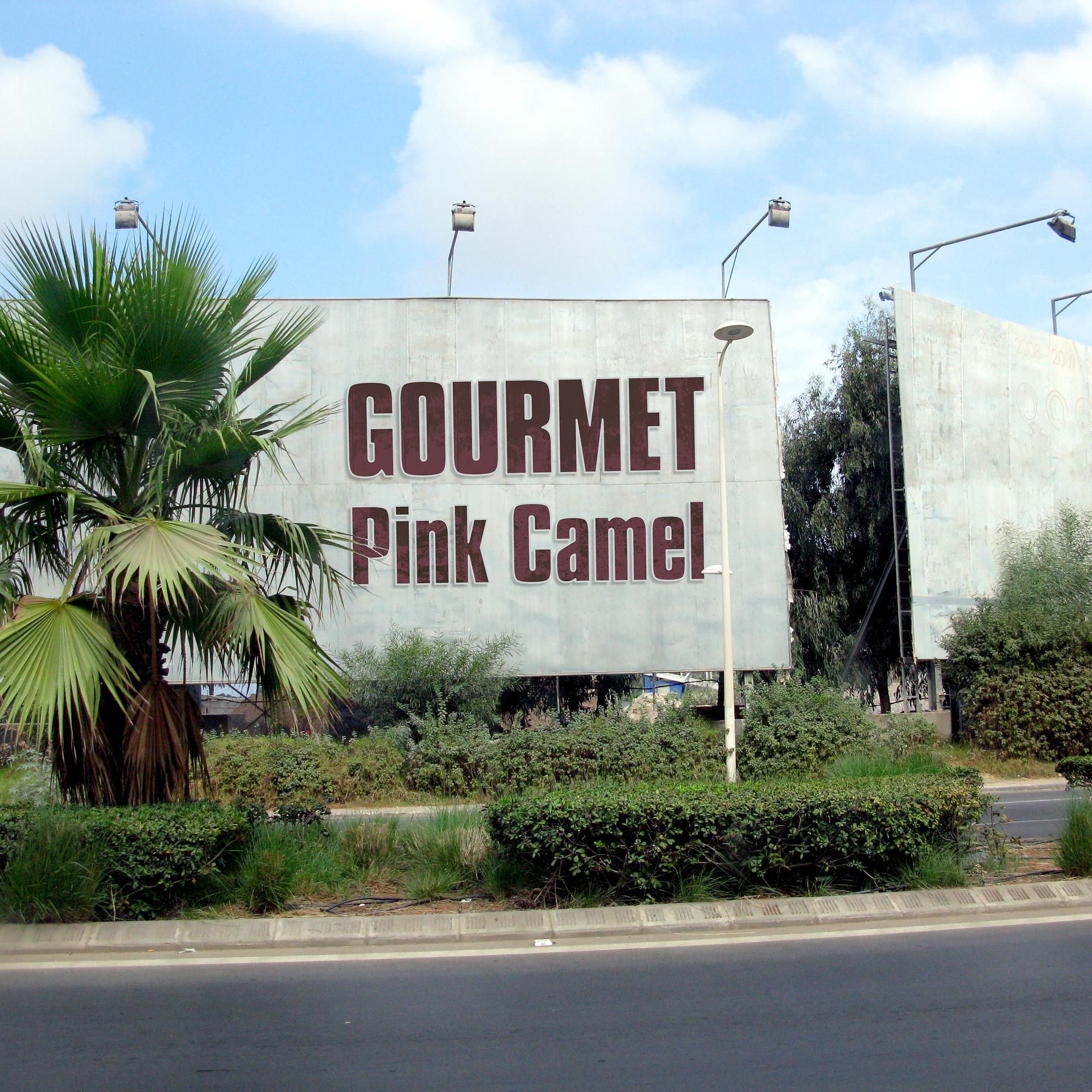 Постер альбома Pink Camel