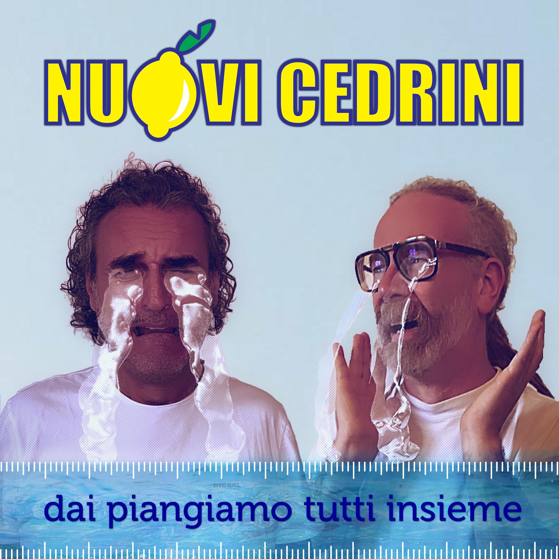 Постер альбома Dai Piangiamo Tutti Insieme