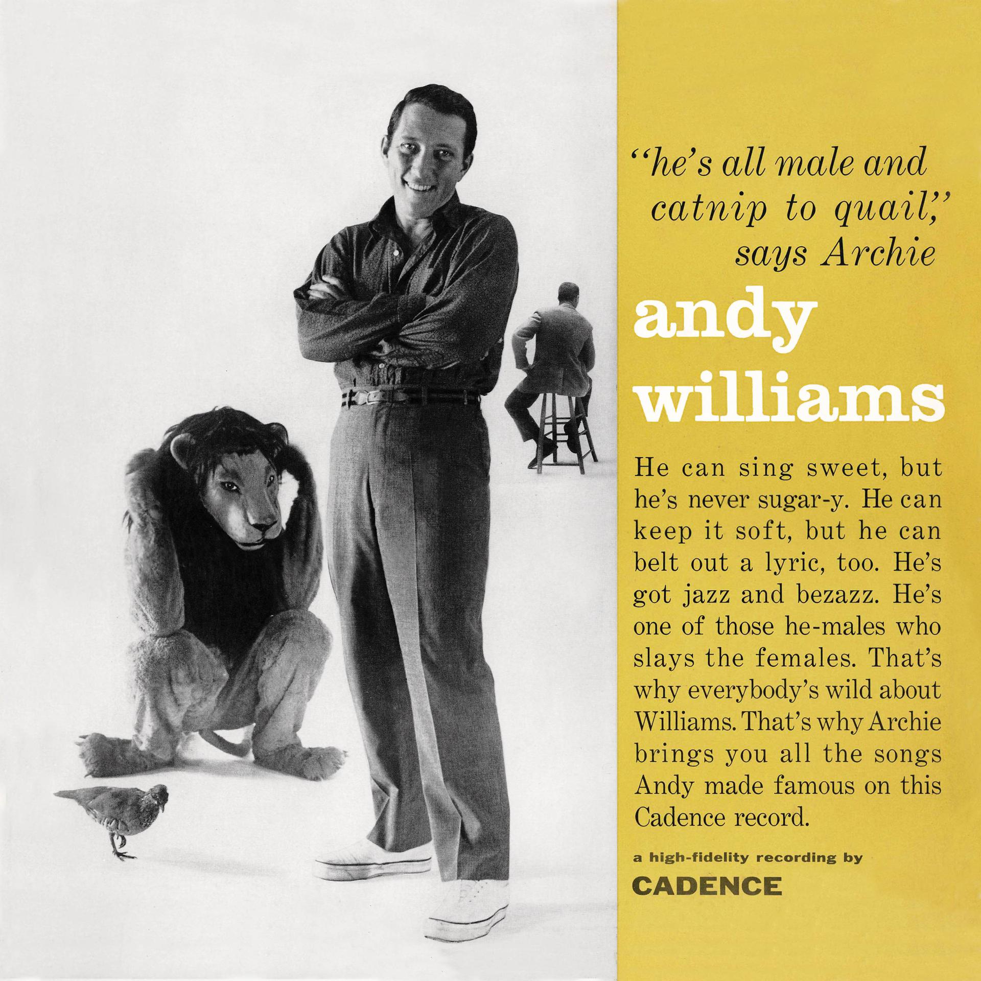Постер альбома Andy Williams (Bonus Track Version)